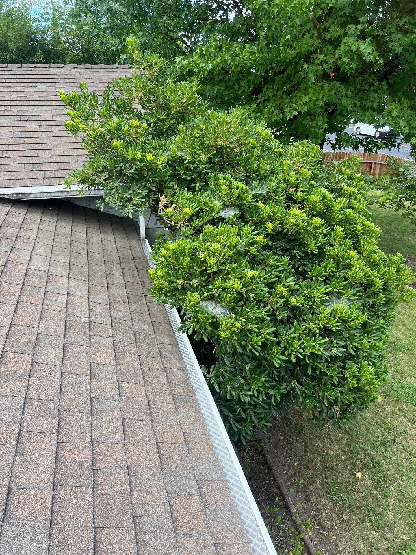 Roof Rejuvenation using Roof Maxx Treatment by Roof Maxx of Folsom