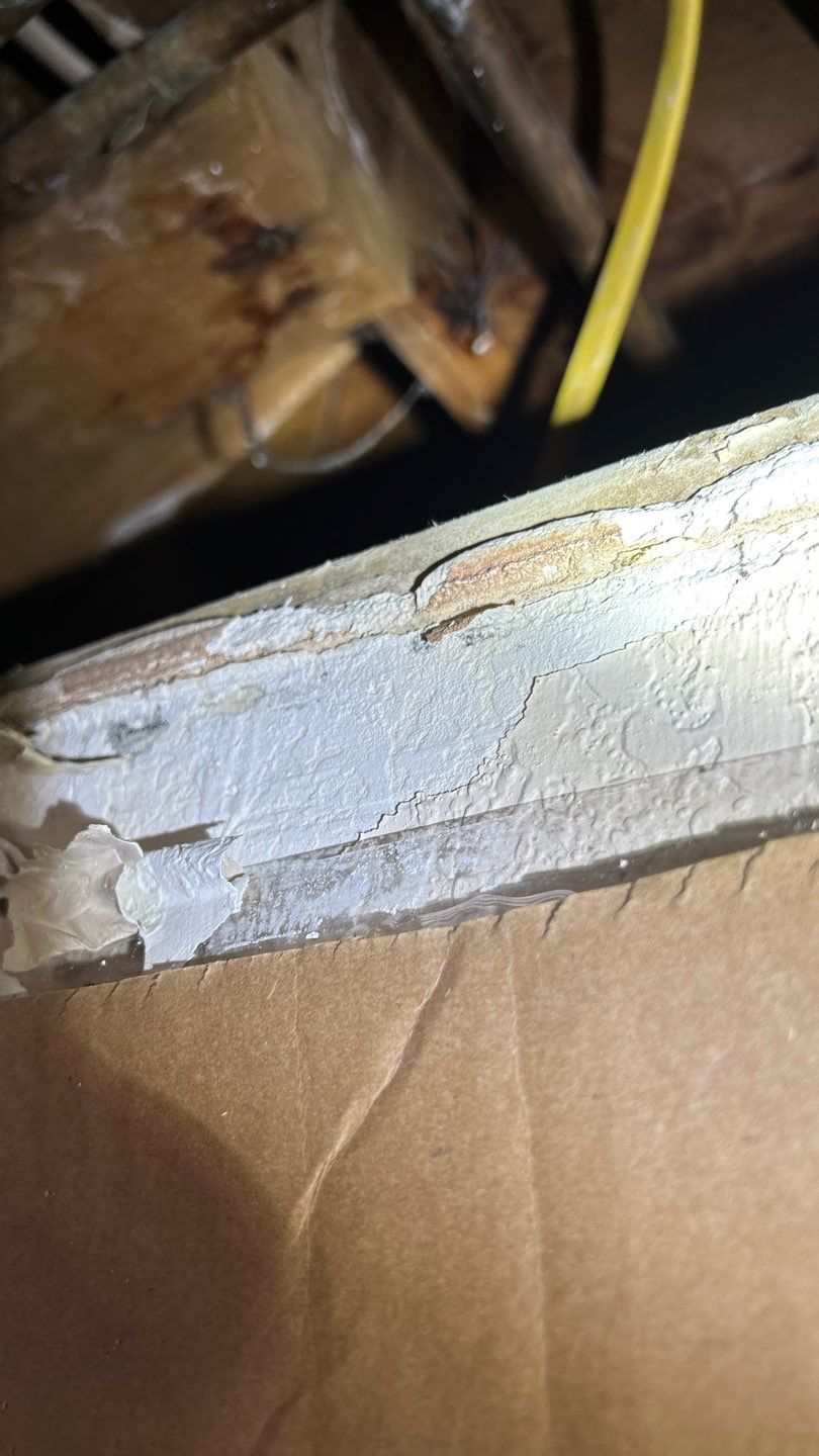 Mold Damage Project in Lakewood by Accountable Home Services