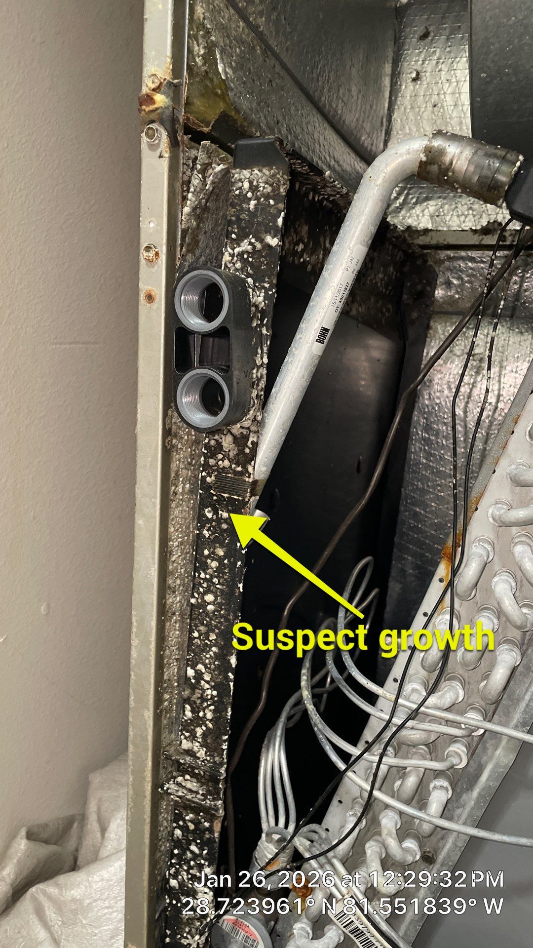 Air Duct Cleaning in Apopka by Hygienic Air, Inc