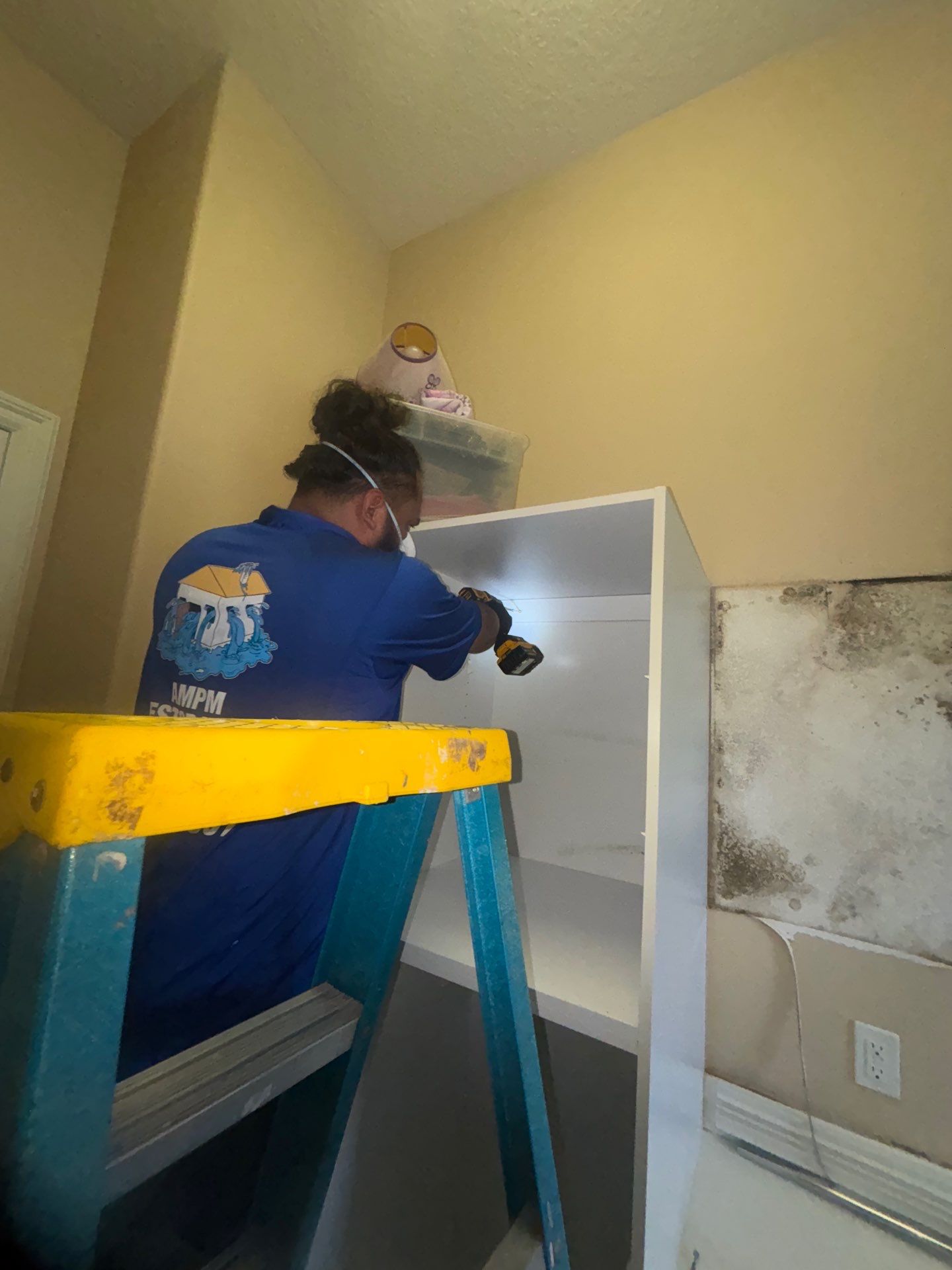 Mold Damage Inspection & Removal In Parrish, FL by Ampm Restoration Services