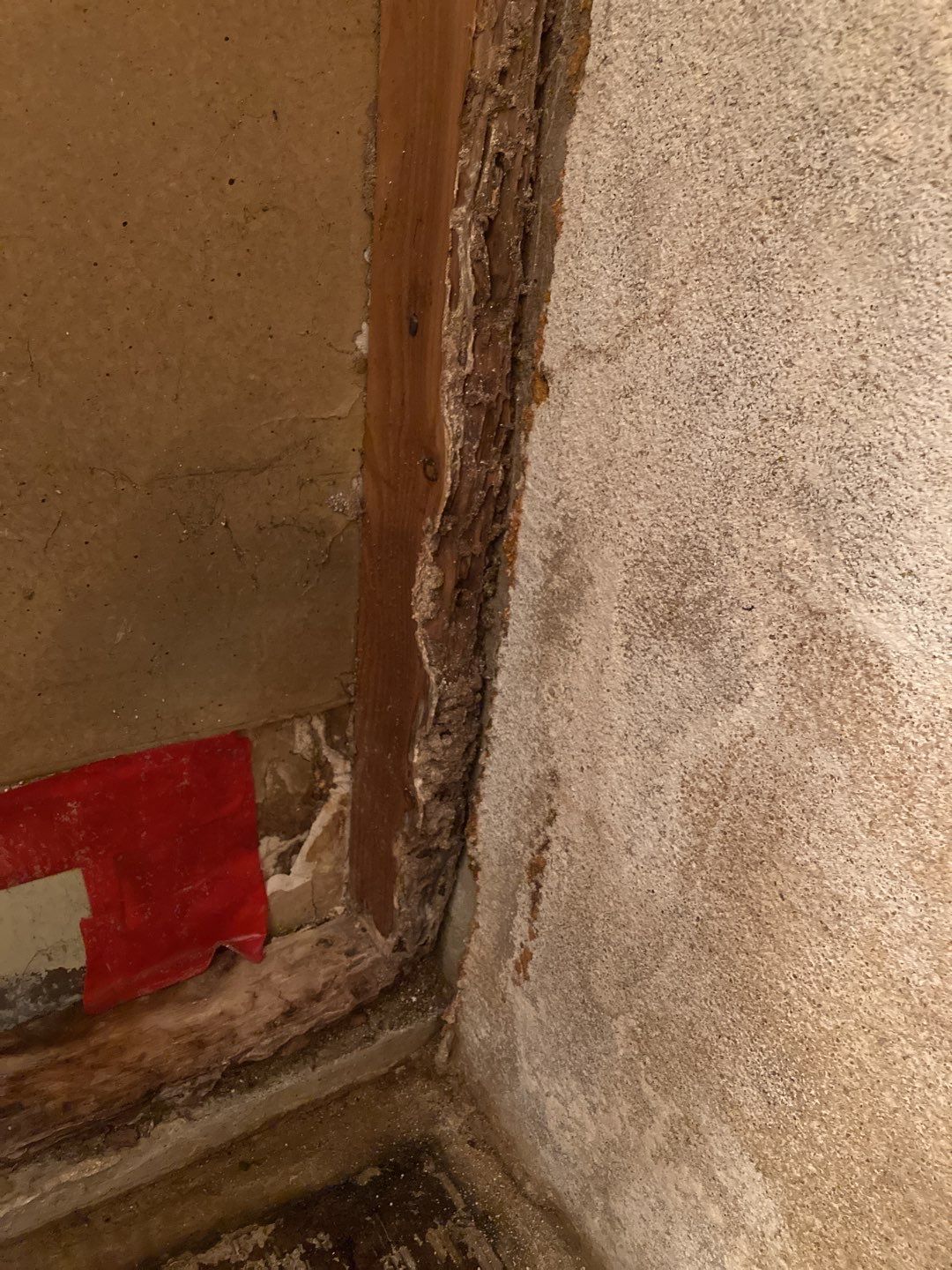 Water Damage Repair by Accountable Home Services