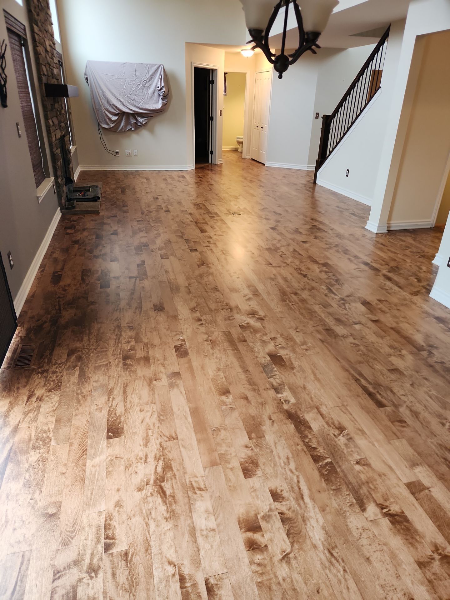 Stained Maple  by Ann Arbor Hardwoods 