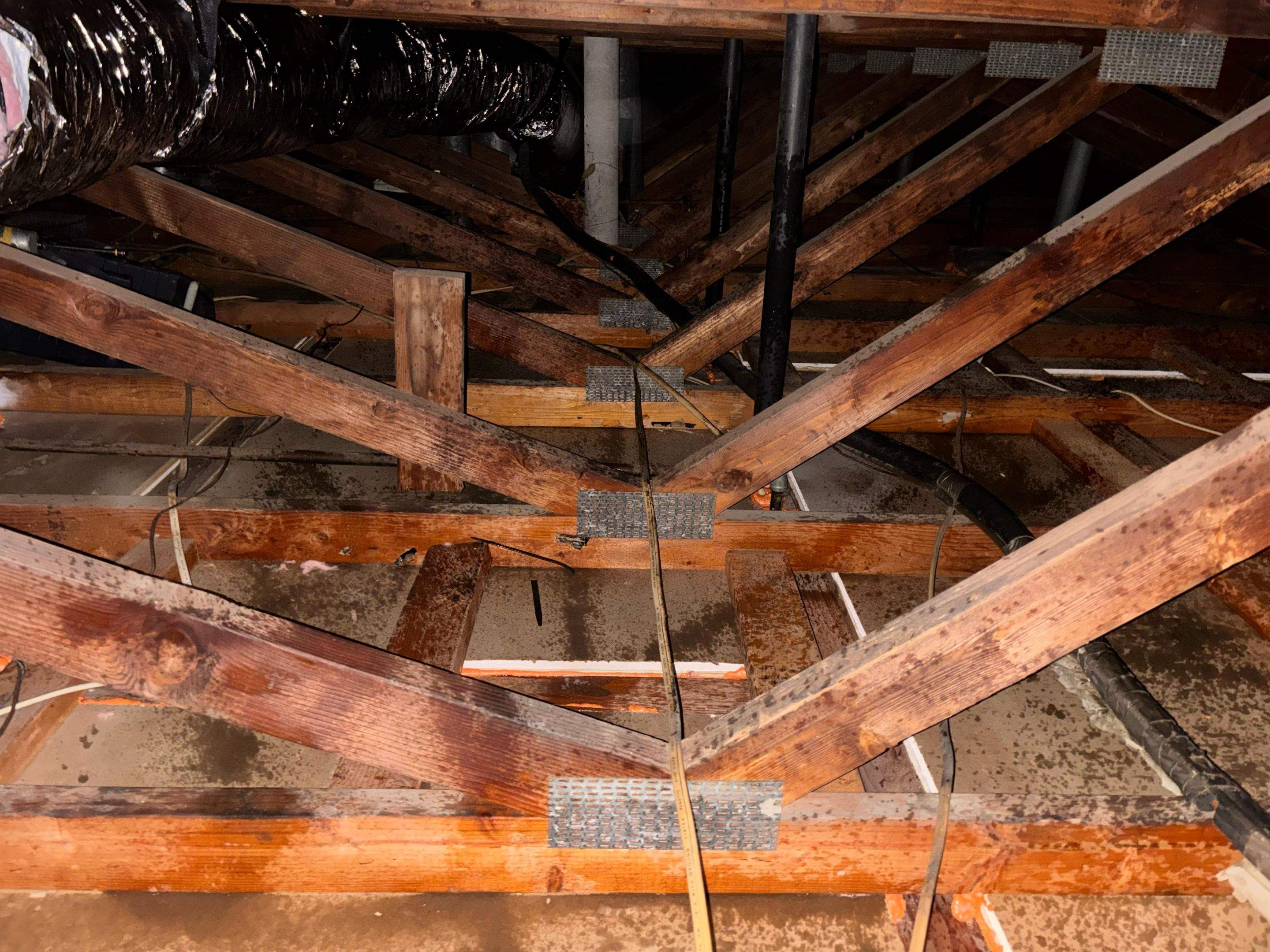 Project in Cypress by Insulation Labs