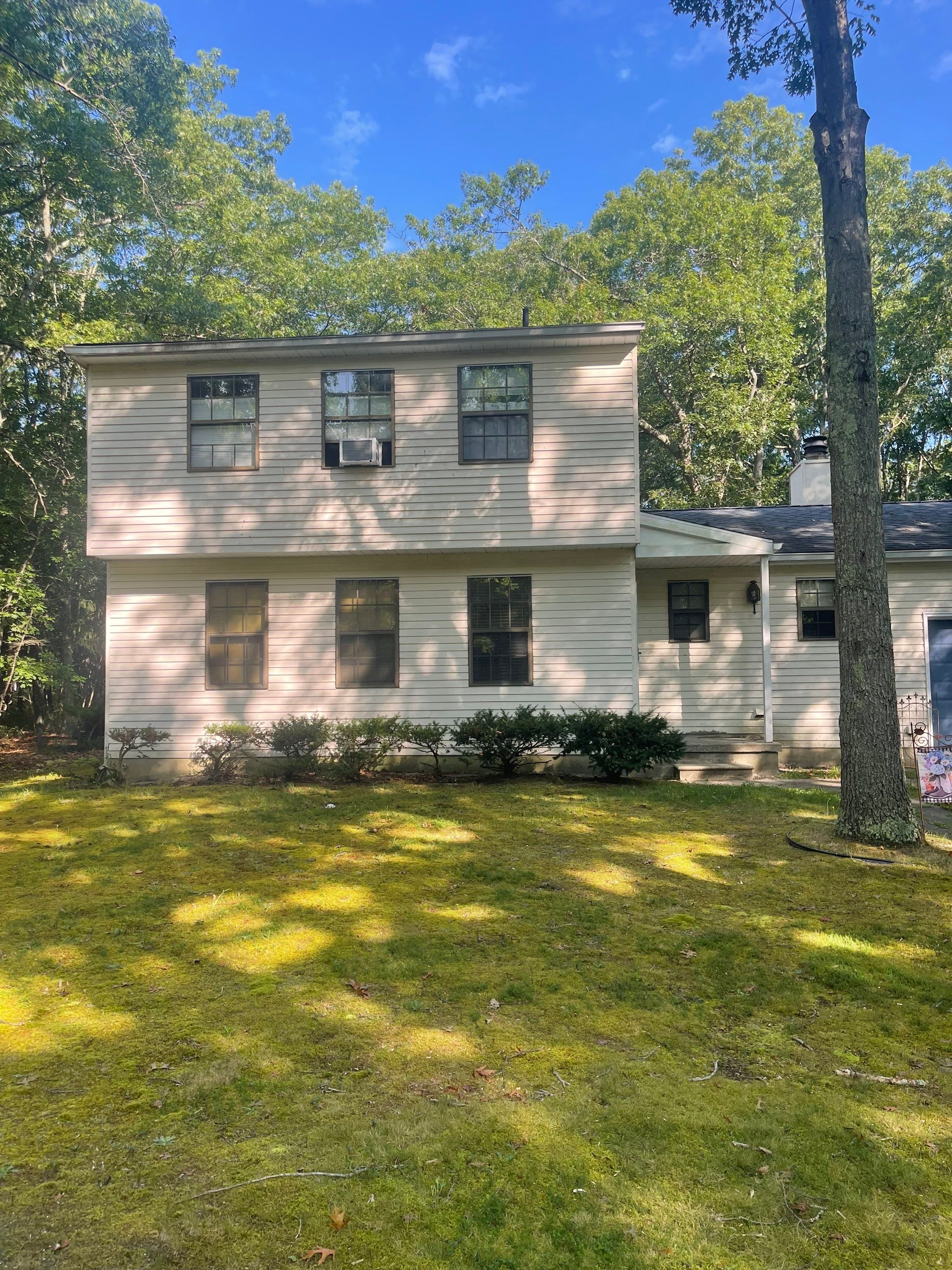 Residential Cleaning using Carbon Fiber Polls & Blower by SJ Exterior