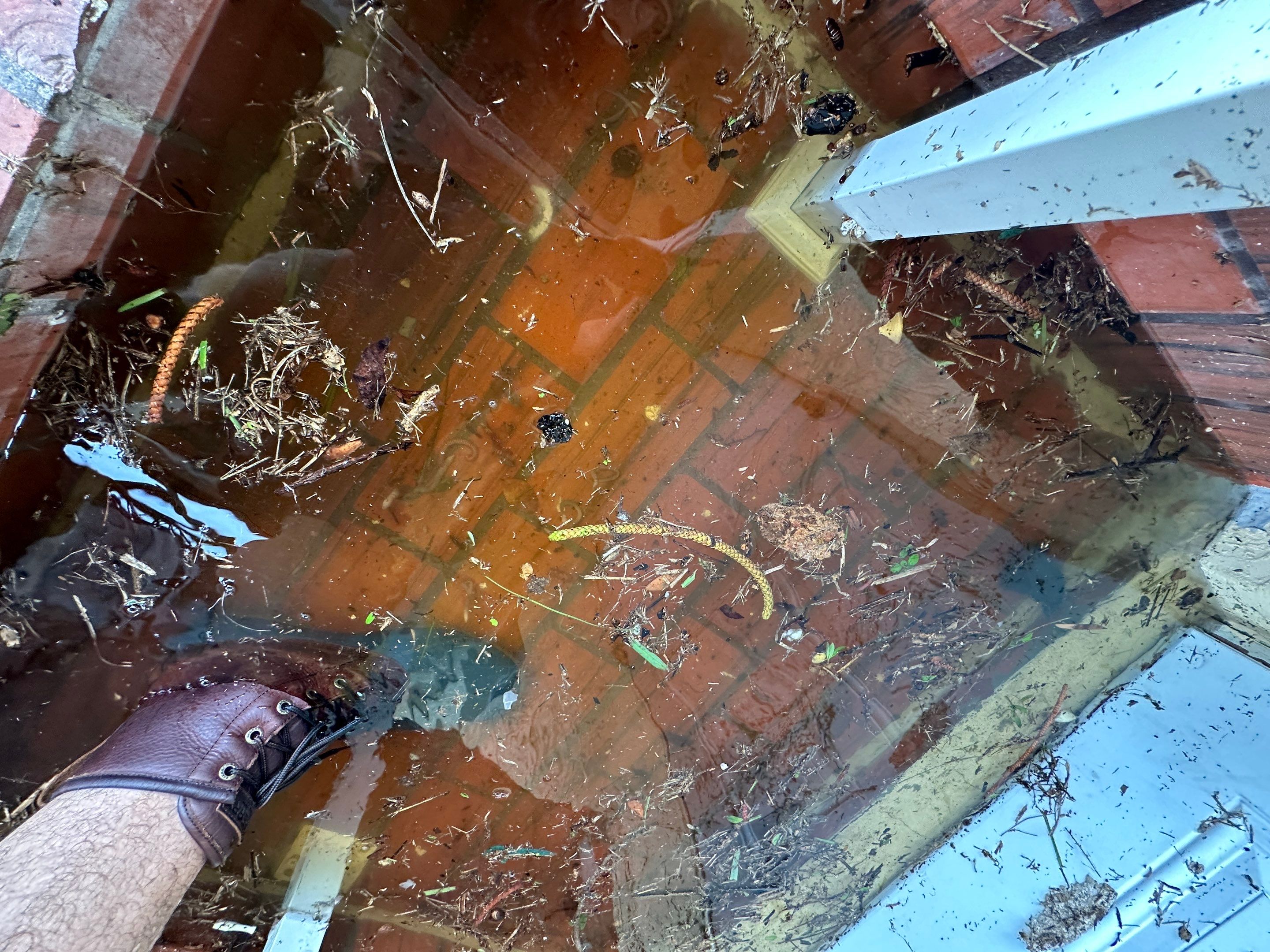 Water Damage Claim in Miami by FLAPA & KeyStone