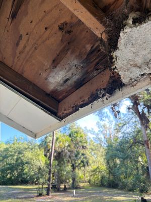 Sorrento Residential Fascia Repair and Soffit Wood Rot Restoration