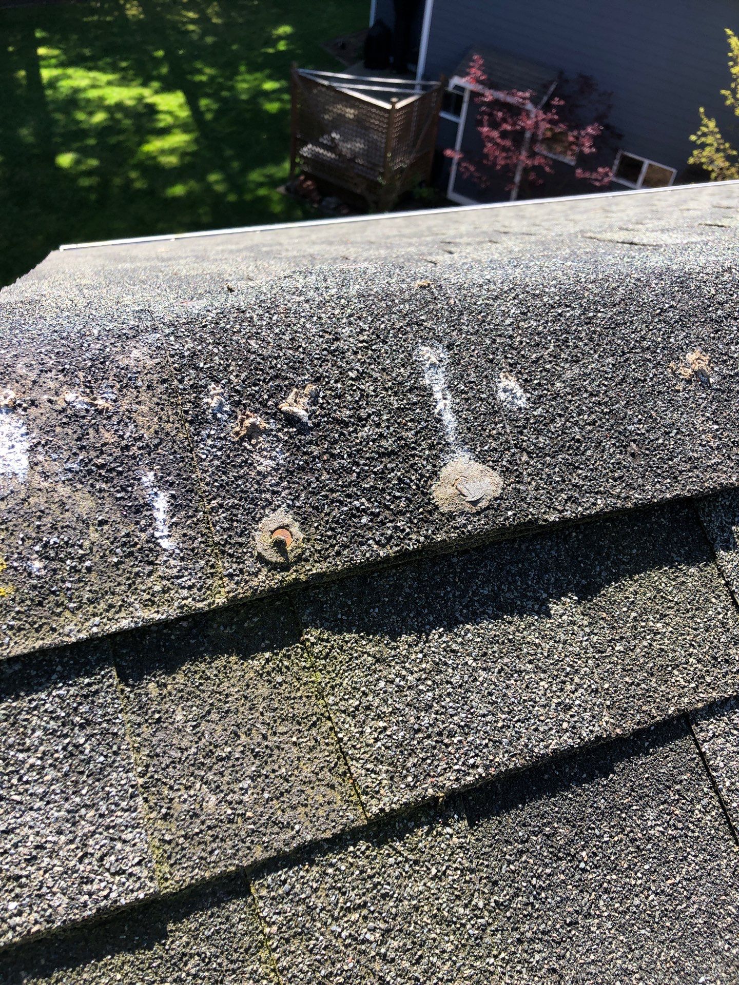 Project in Bellingham by Connolly Construction Company