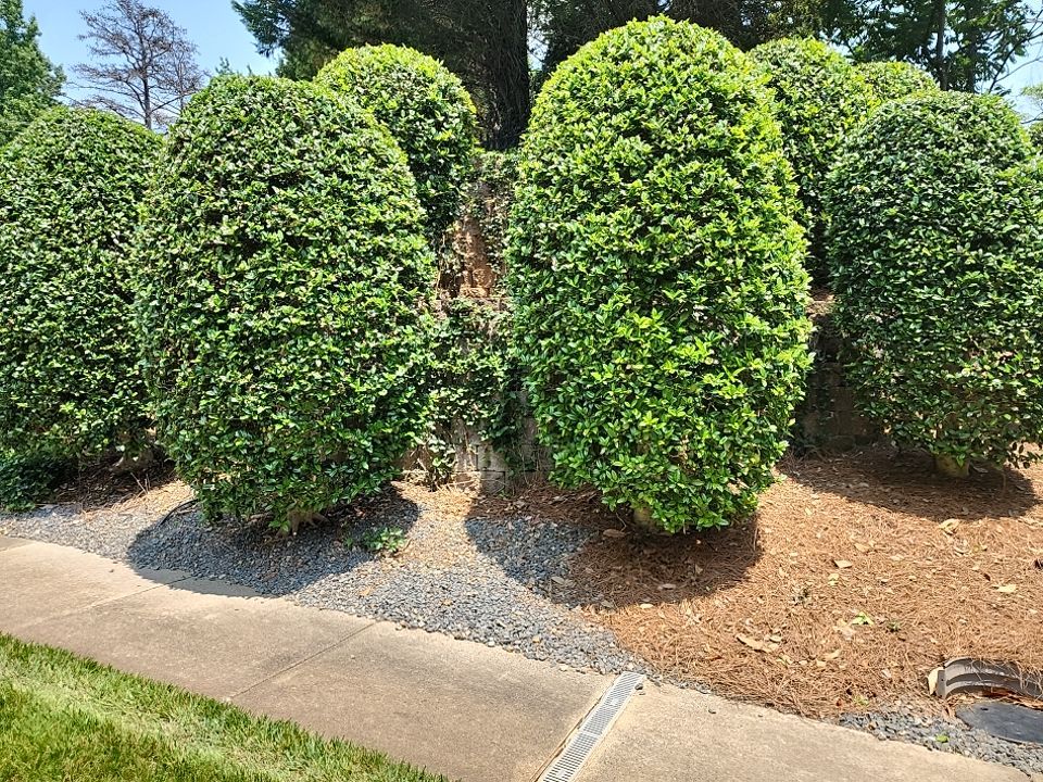 concrete Clean using cleaner by G&H Home Tech Pros LLC