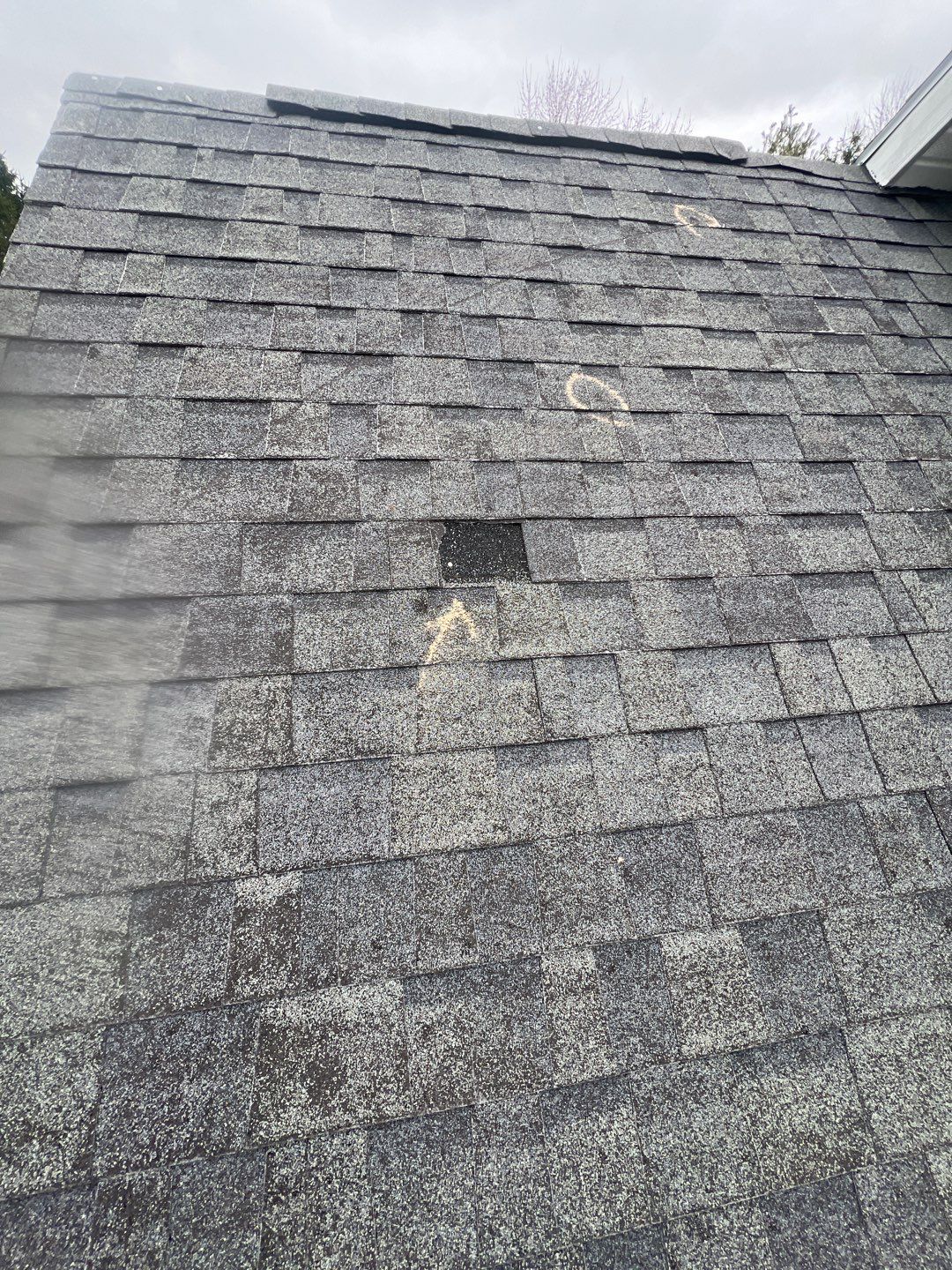 Exterior Installation using Onyx Black Durations and White Siding by WIW Enterprises Inc