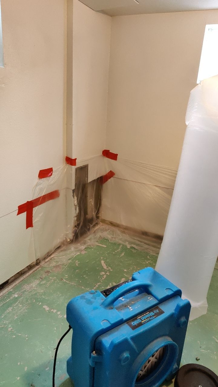 Mold Remediation by Accountable Home Services