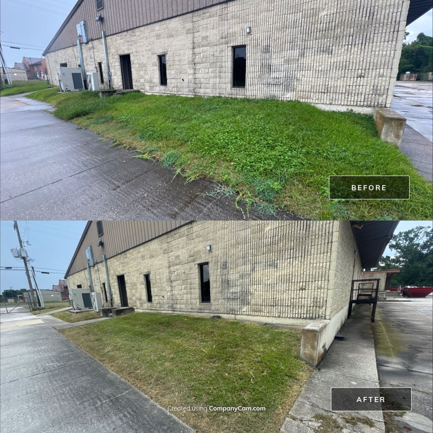 COMMERCIAL LAWN MAINTENANCE: ONE TIME CUT & LANDSCAPE CLEAN UP by CutScape, LLC.