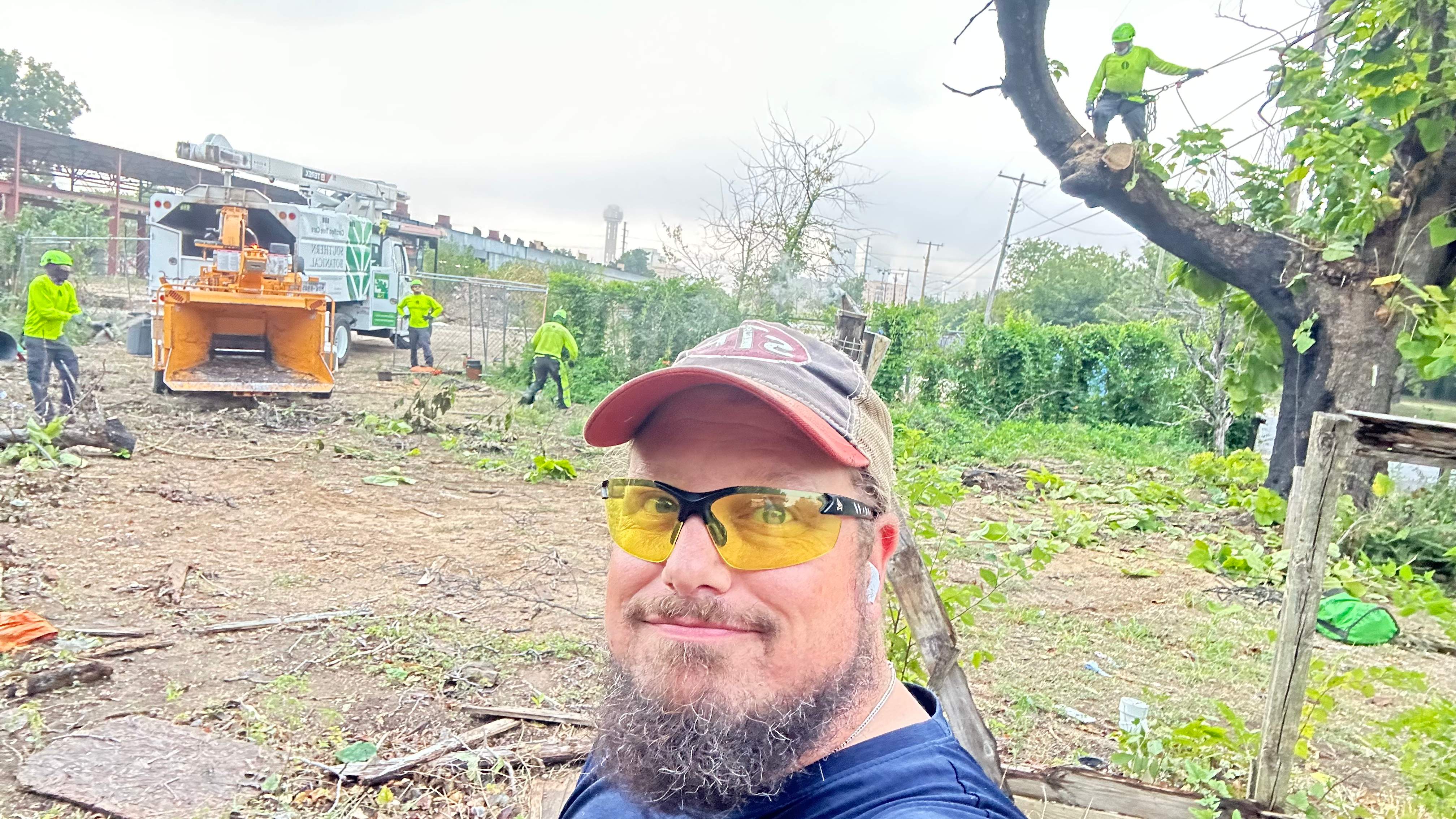 City Tree Company  by Rockwall Honey Bee Company