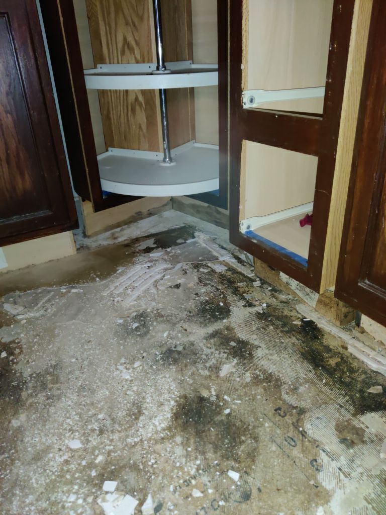 Mold Remediation in Kitchen by Accountable Home Services