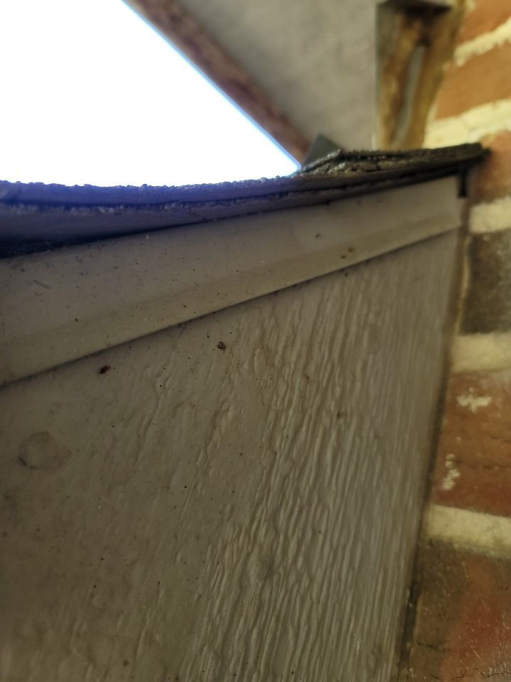 Insurance Claim Roof and Gutters using Owens Corning - Duration- Estate Gray -New Gutters - Exterior paint by Tex-Line Roofing