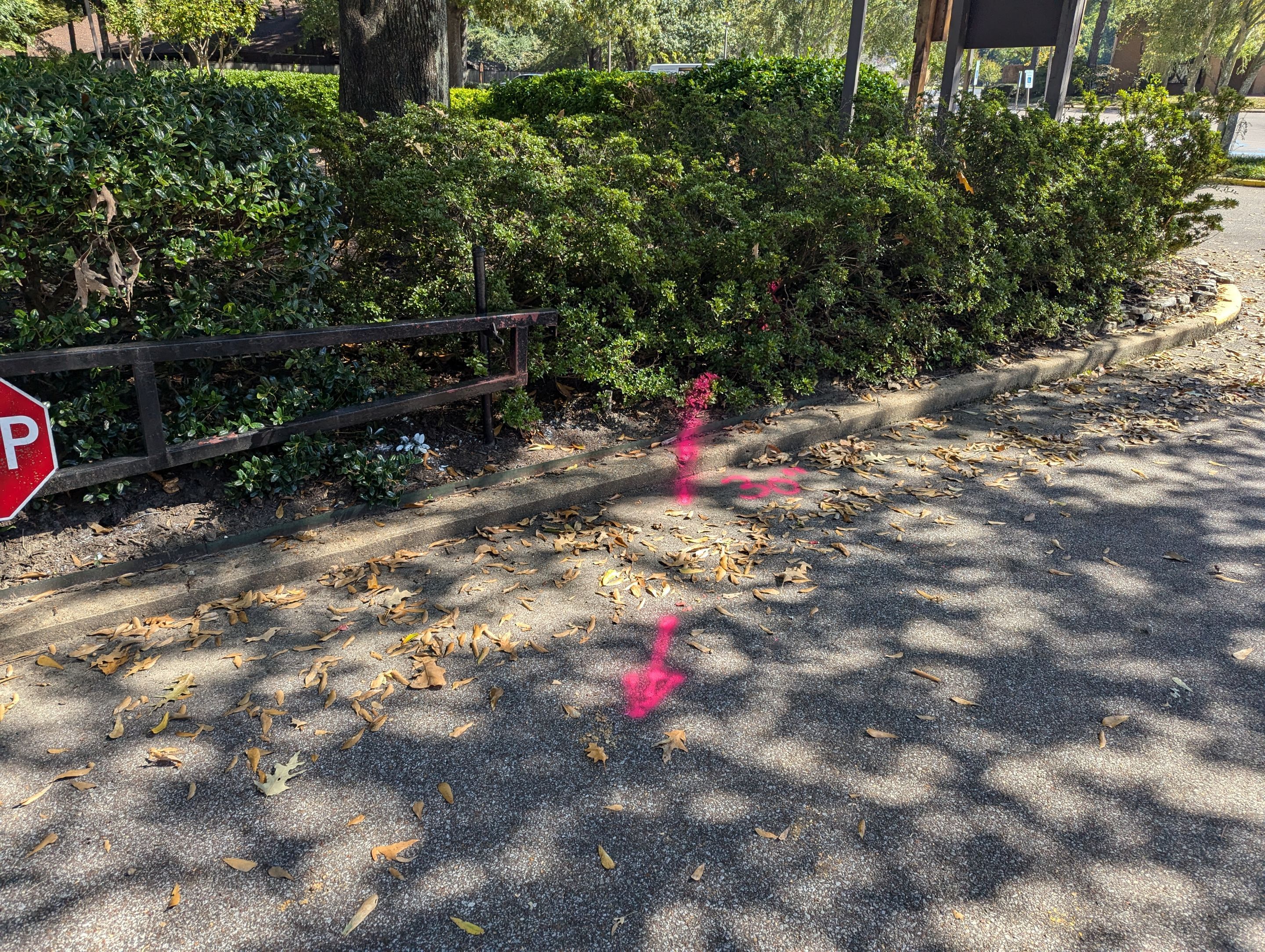 Utility Locating Services / GPR Request by Alsip Locating Service, LLC