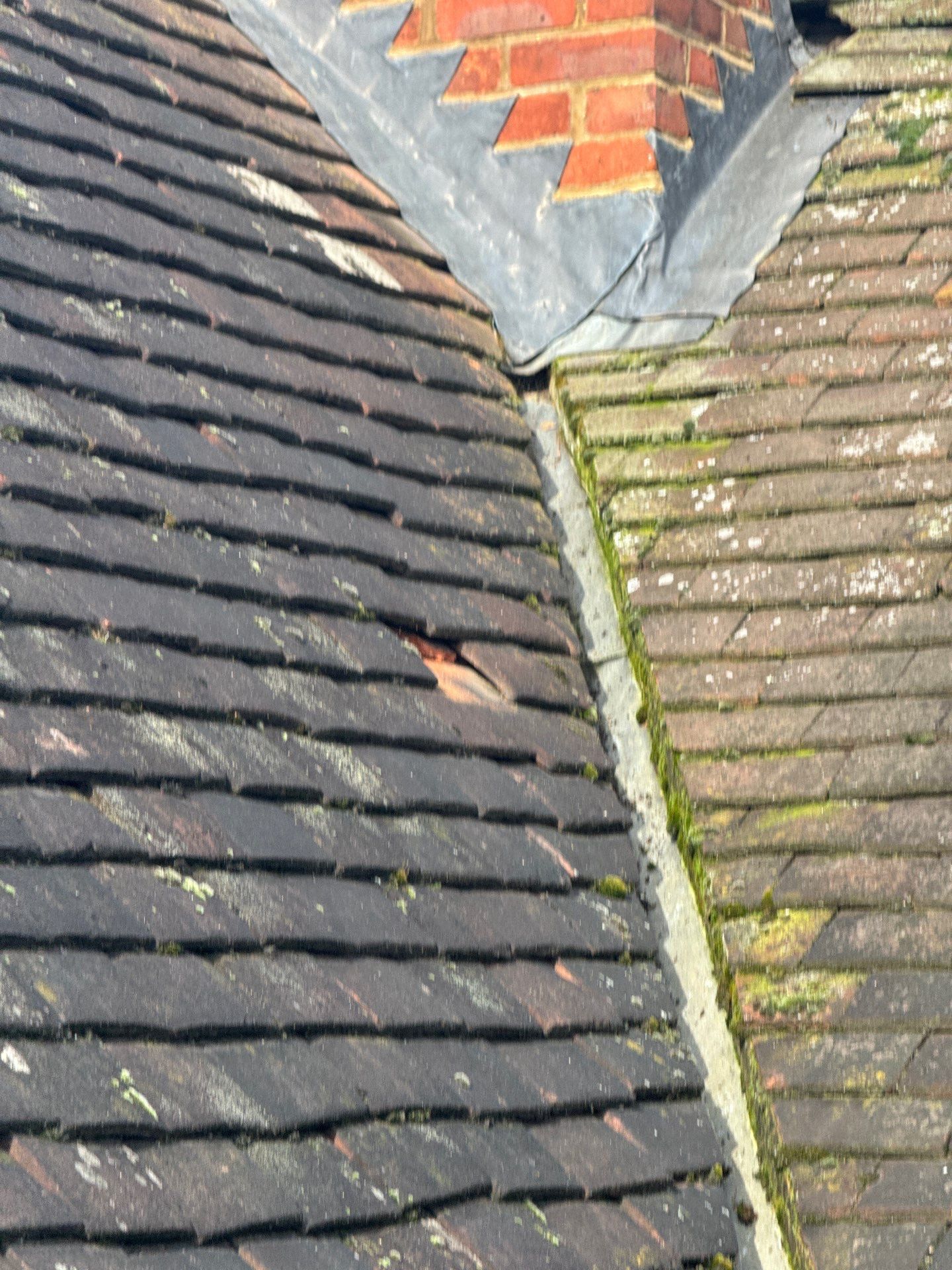 Exterior Clean - Roof - Patio - Driveway using Mosmatic FSC and Biocide by Ges Exterior Cleaning ltd