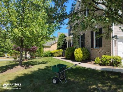 Fixing brown spots in grass in Durham