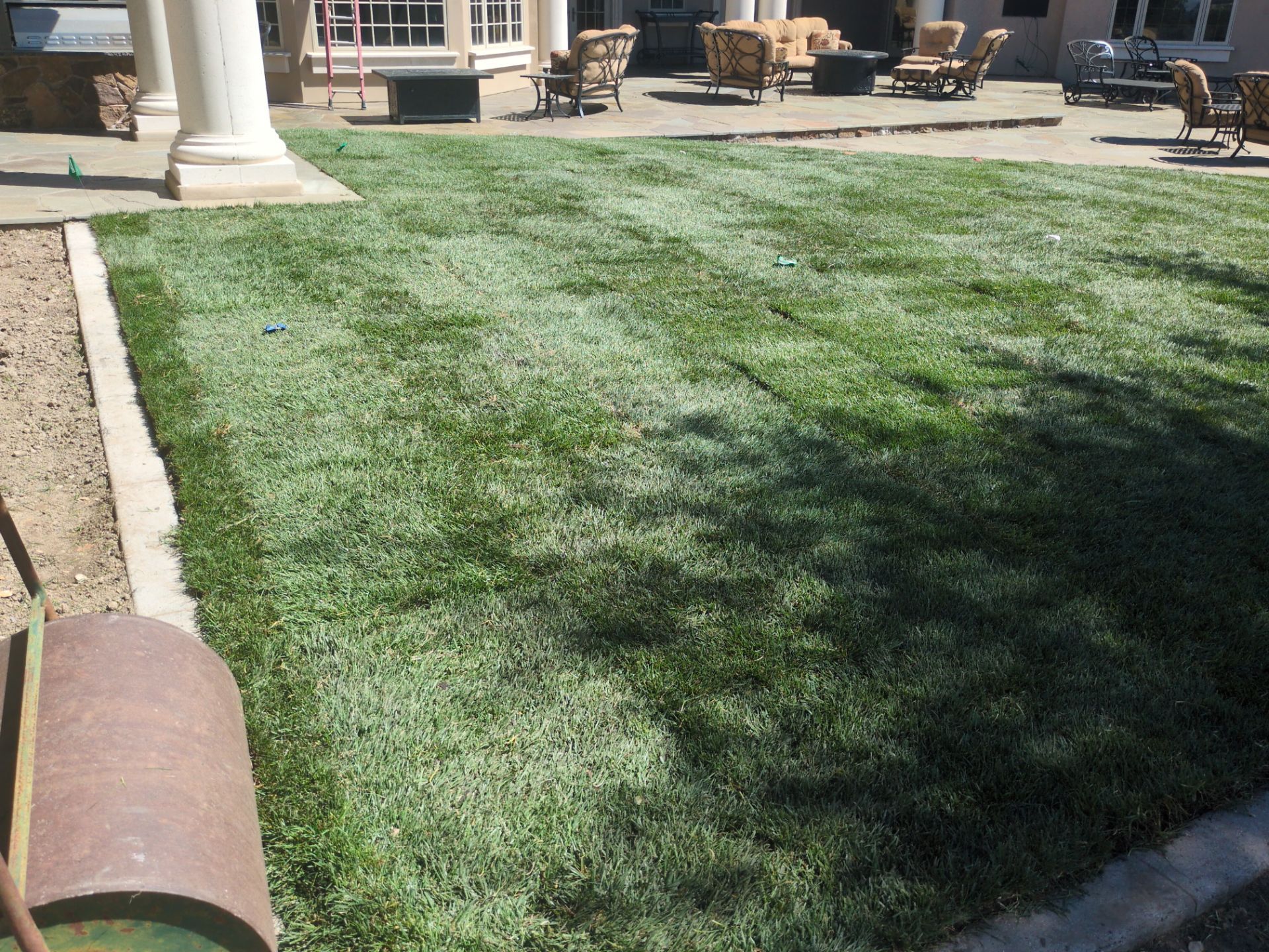 Project in Placerville by A - G Sod Farms
