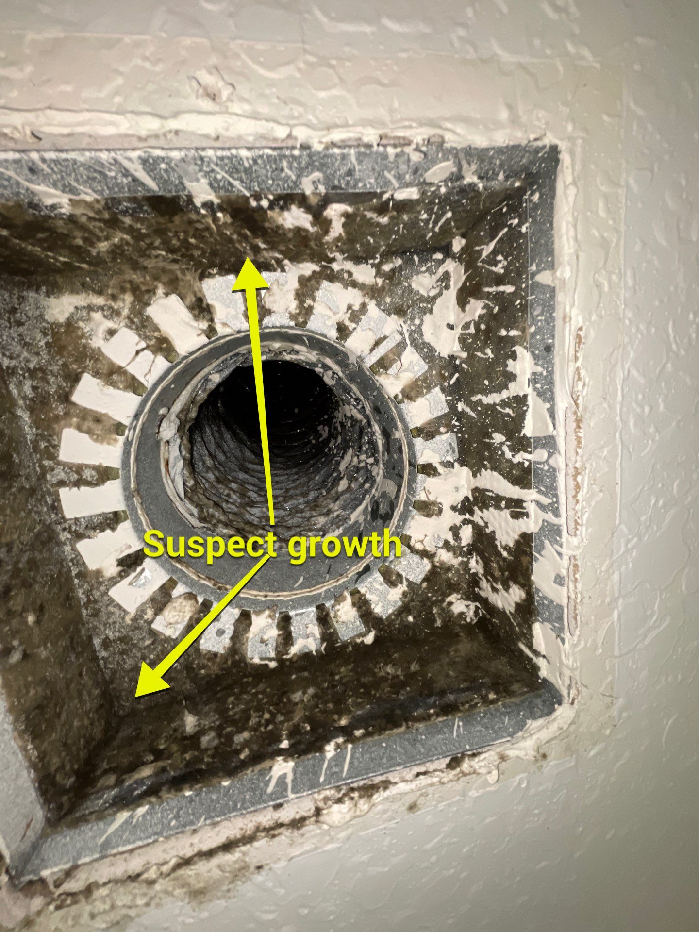 Air Duct Cleaning in Leesburg by Hygienic Air, Inc