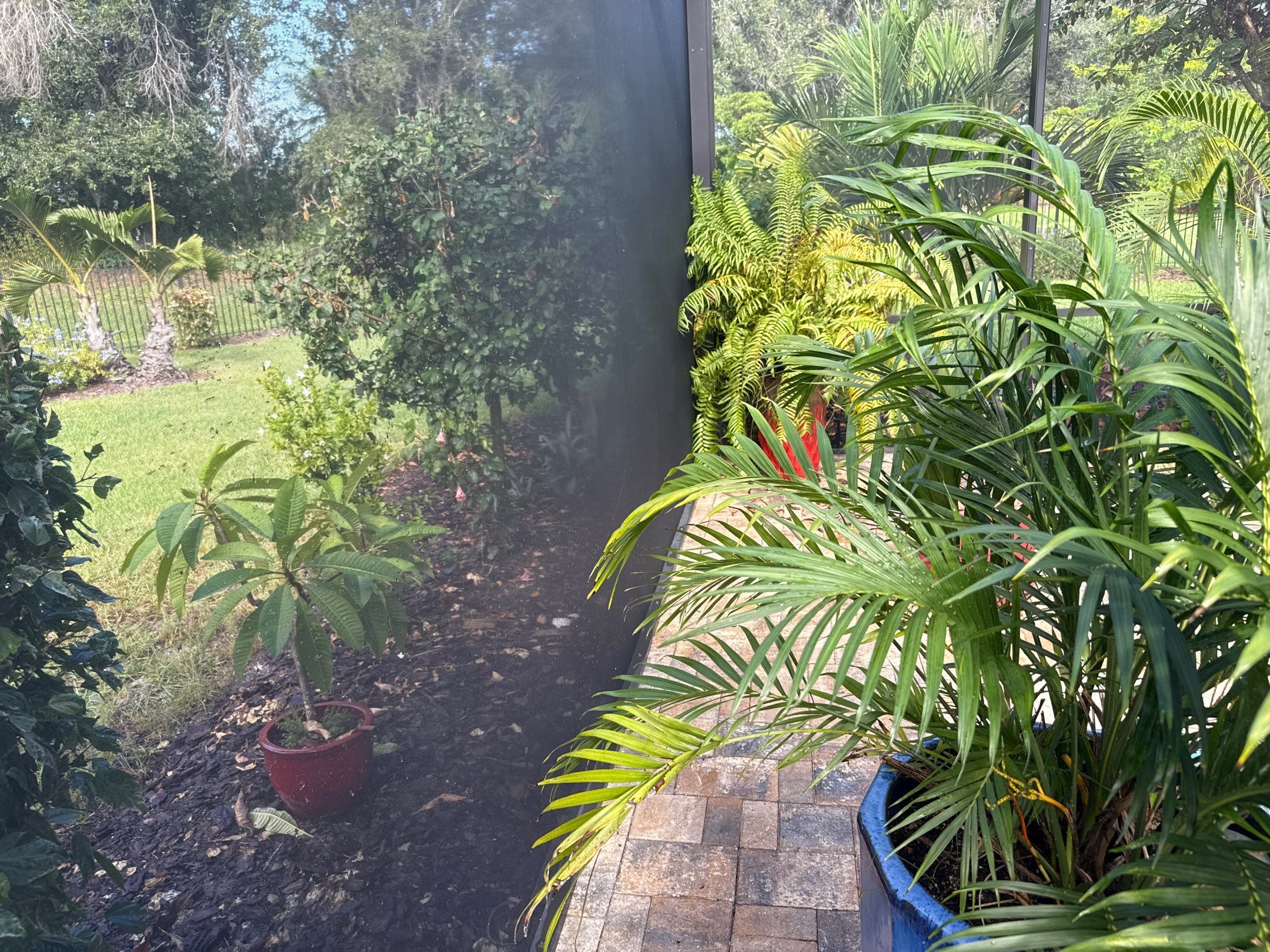 Pool Cage Cleaning | Rye Wilderness, Bradenton FL by Sunshine AquaWash