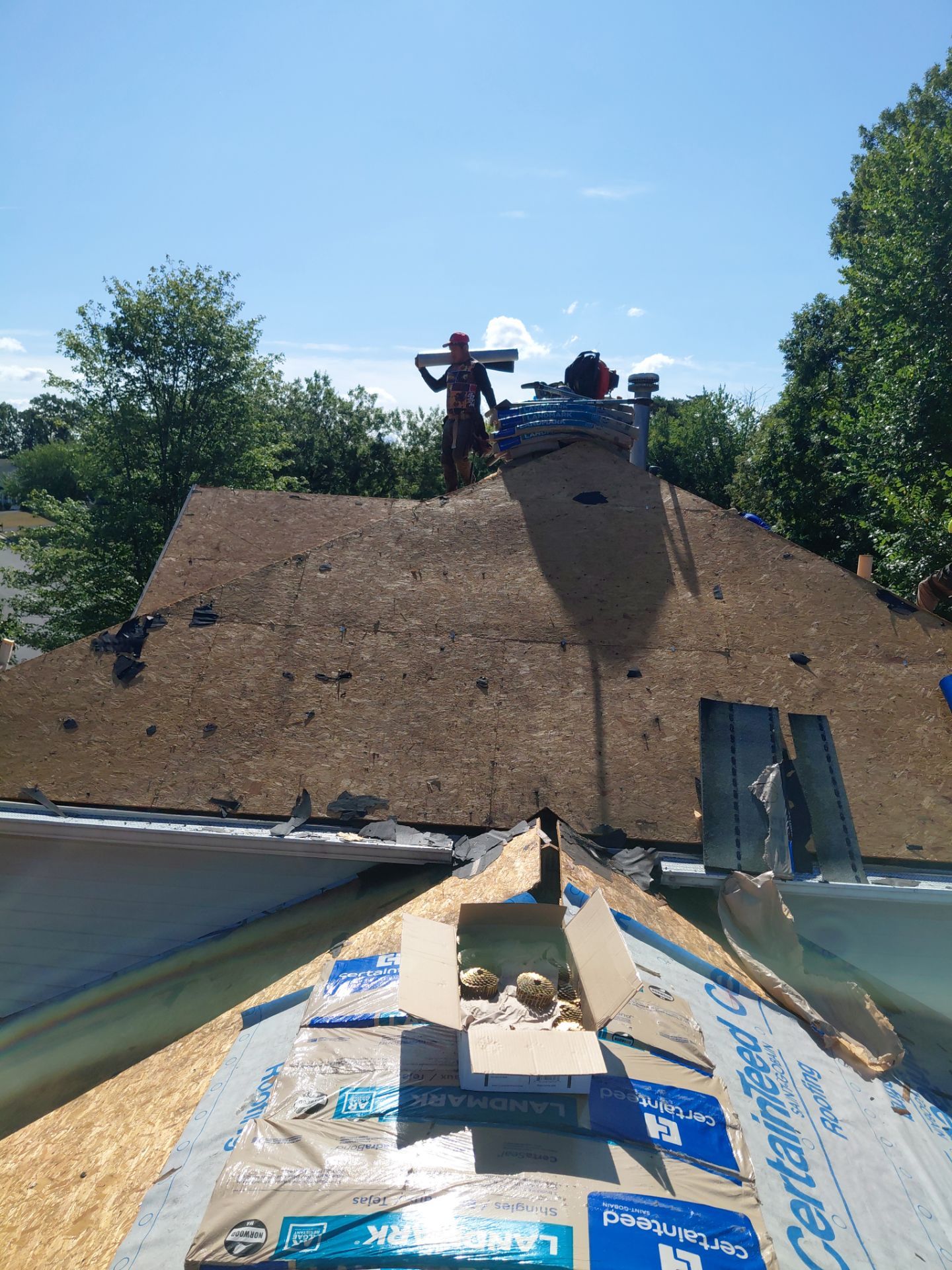 Gainesville: Residential Roof Replacement with CertainTeed Landmark in Moire Black  by RM Banning, Inc.