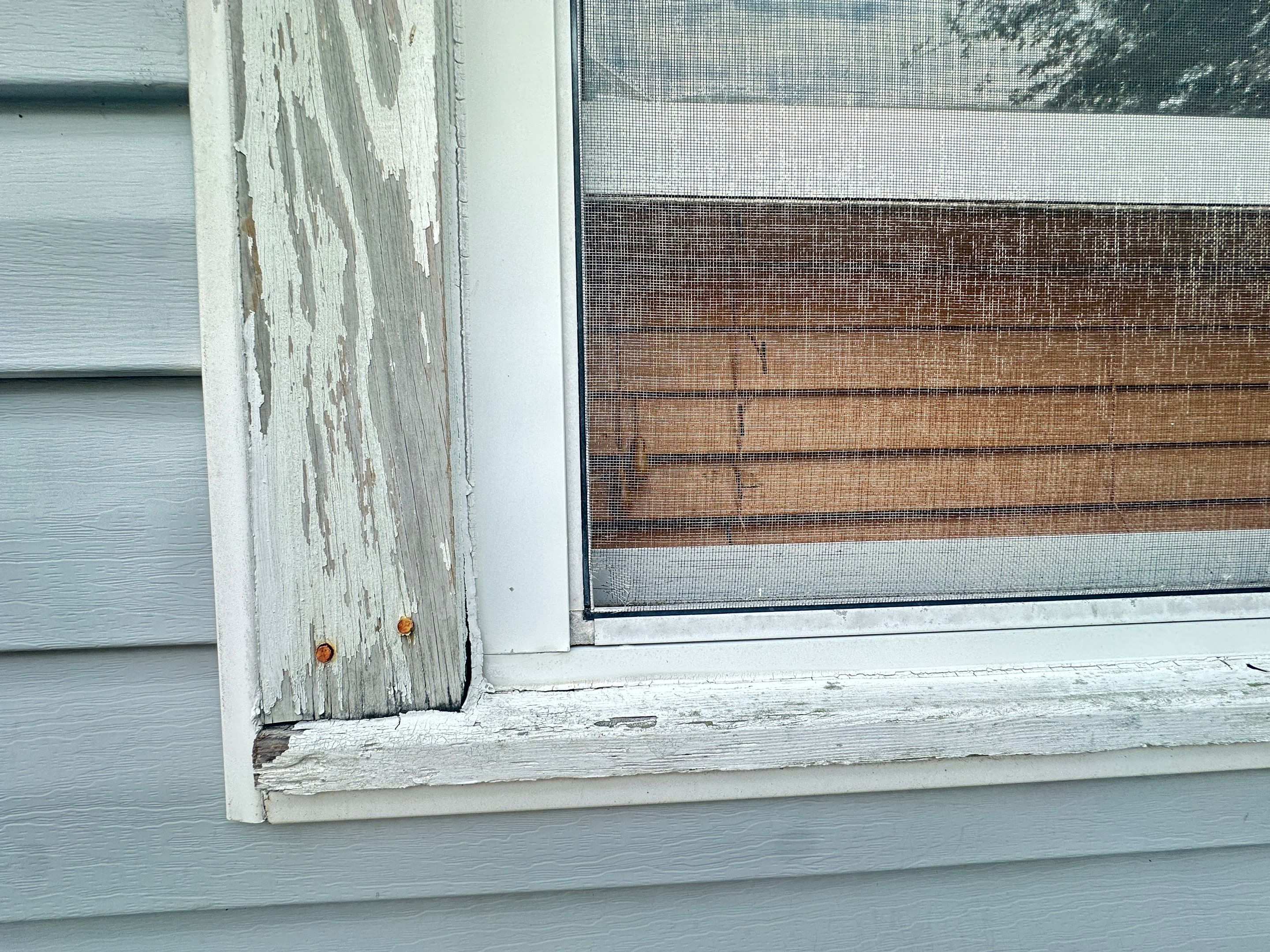 Water Damage Claim in St. Petersburg by FLAPA & KeyStone