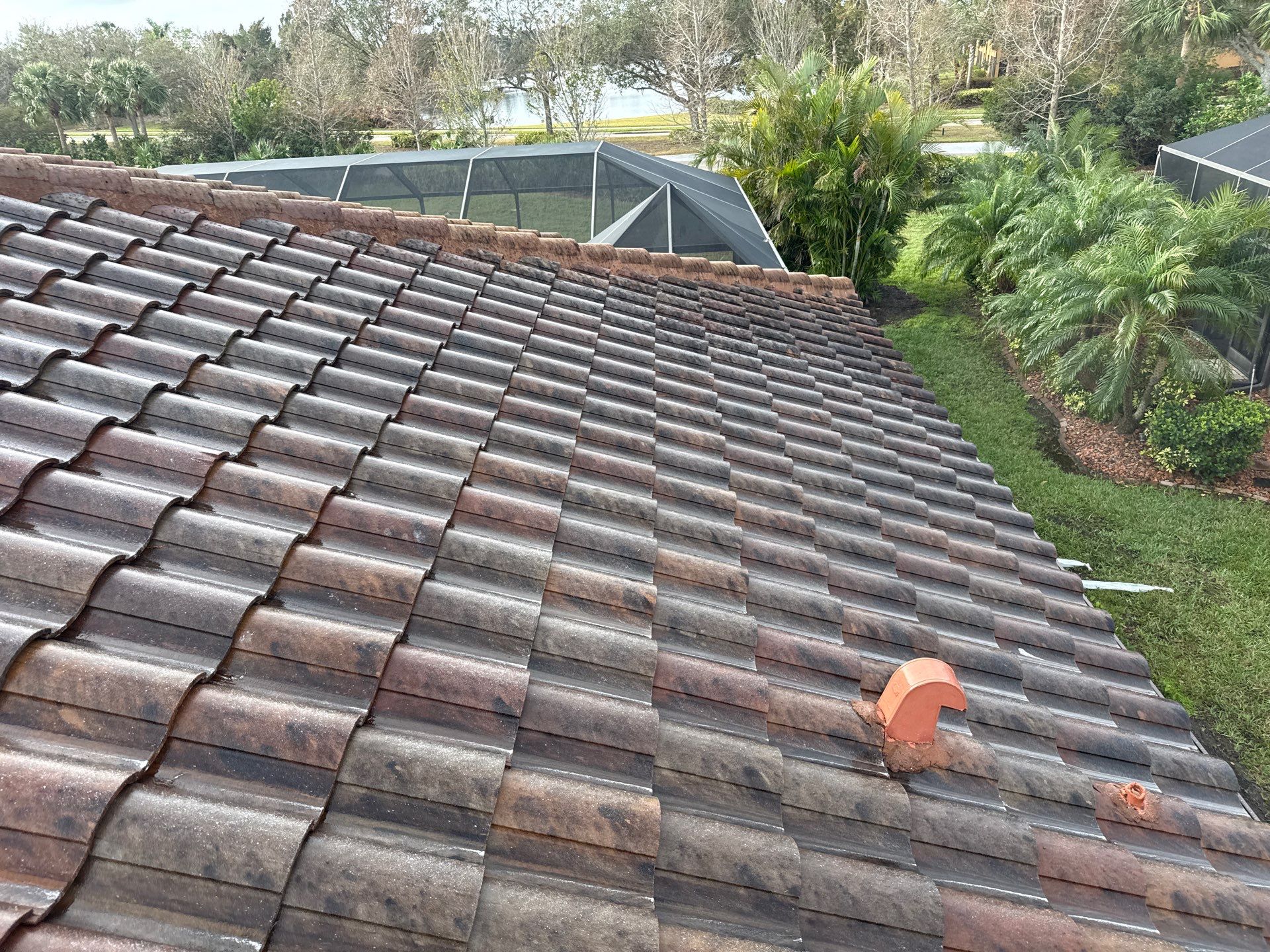 Paver Pool Deck, Driveway & Concrete Tile Roof Cleaning in River Strand, Bradenton, FL | Sunshine AquaWash by Sunshine AquaWash