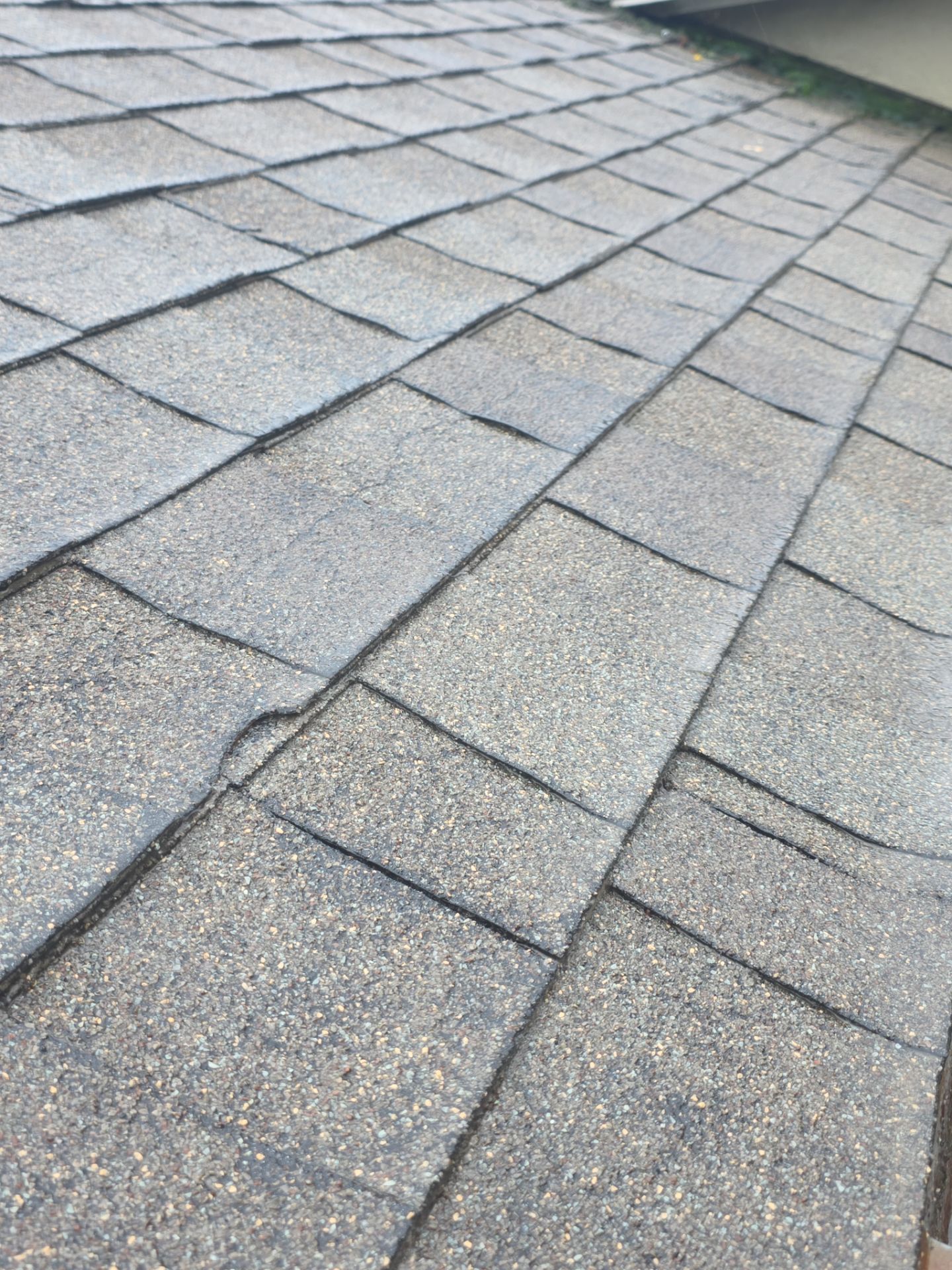 Roof Rejuvenation using Roof Maxx Treatment by Roof Maxx of Folsom