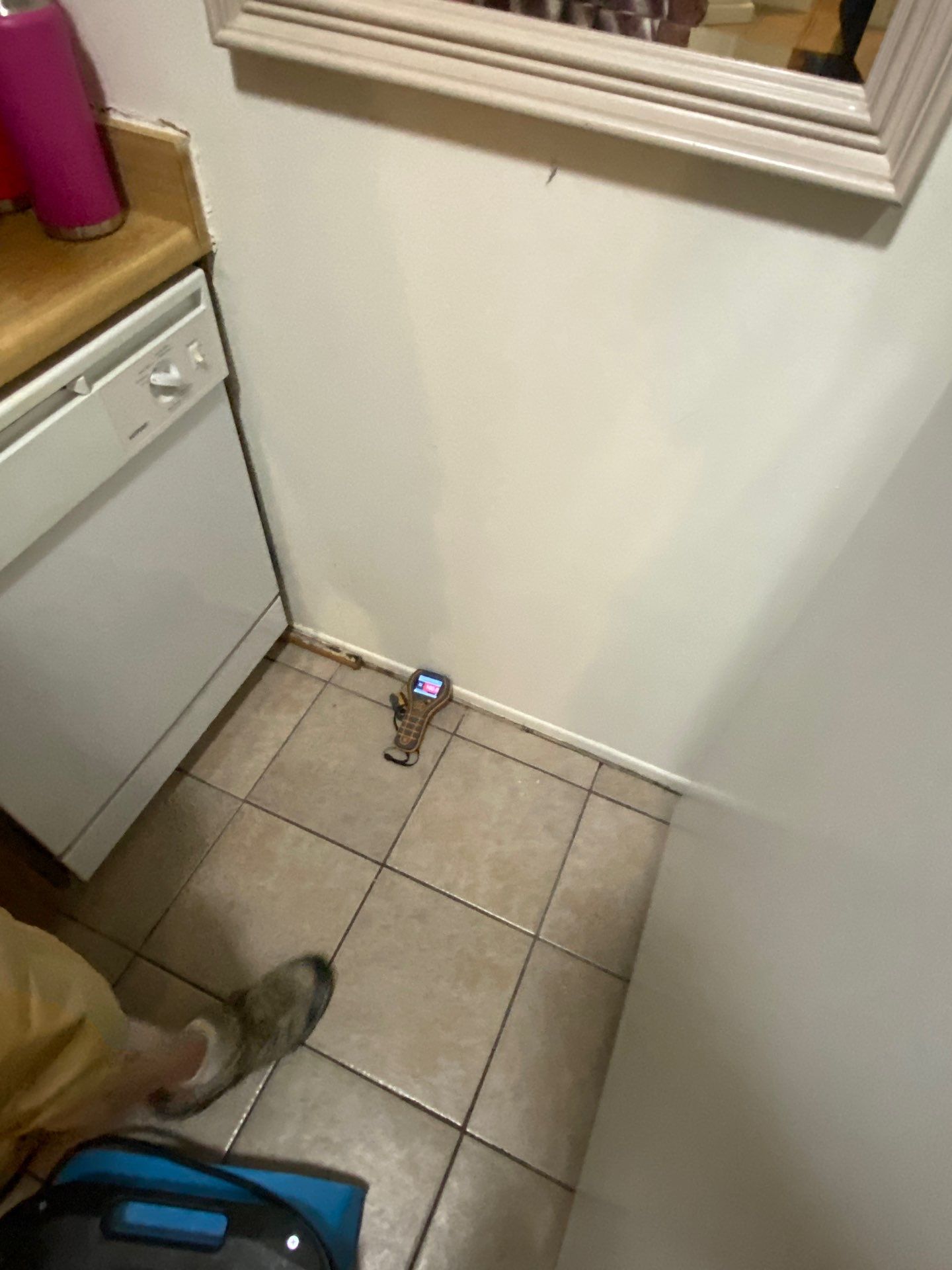 Project in Holly by EzDry Water Mitigation & Property Restoration