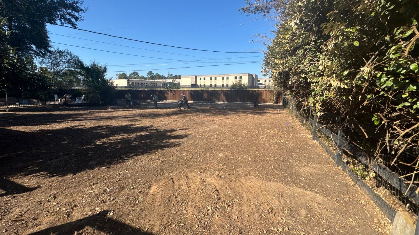 Mr. Jeff — Backyard Drainage & Grading Improvement by Texas Urban Elements