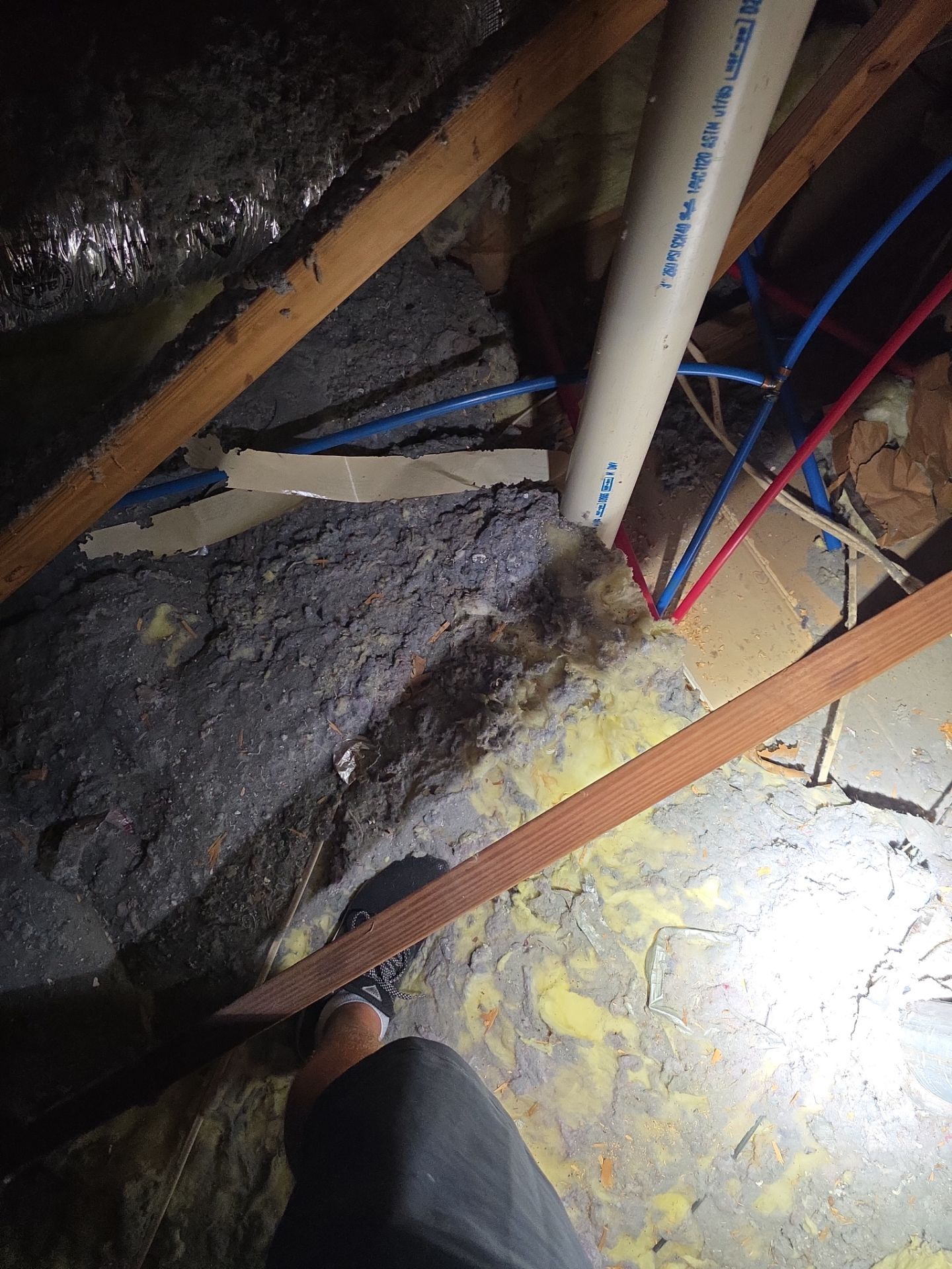 Dryer Vent Cleaning and Repair in Clermont by Hygienic Air, Inc