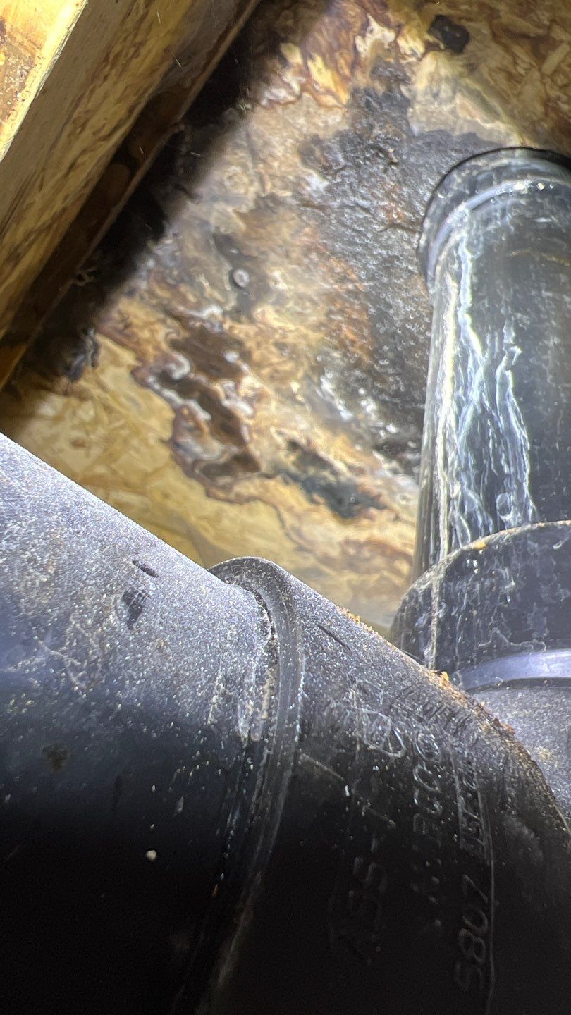 Mold Remediation by Accountable Home Services