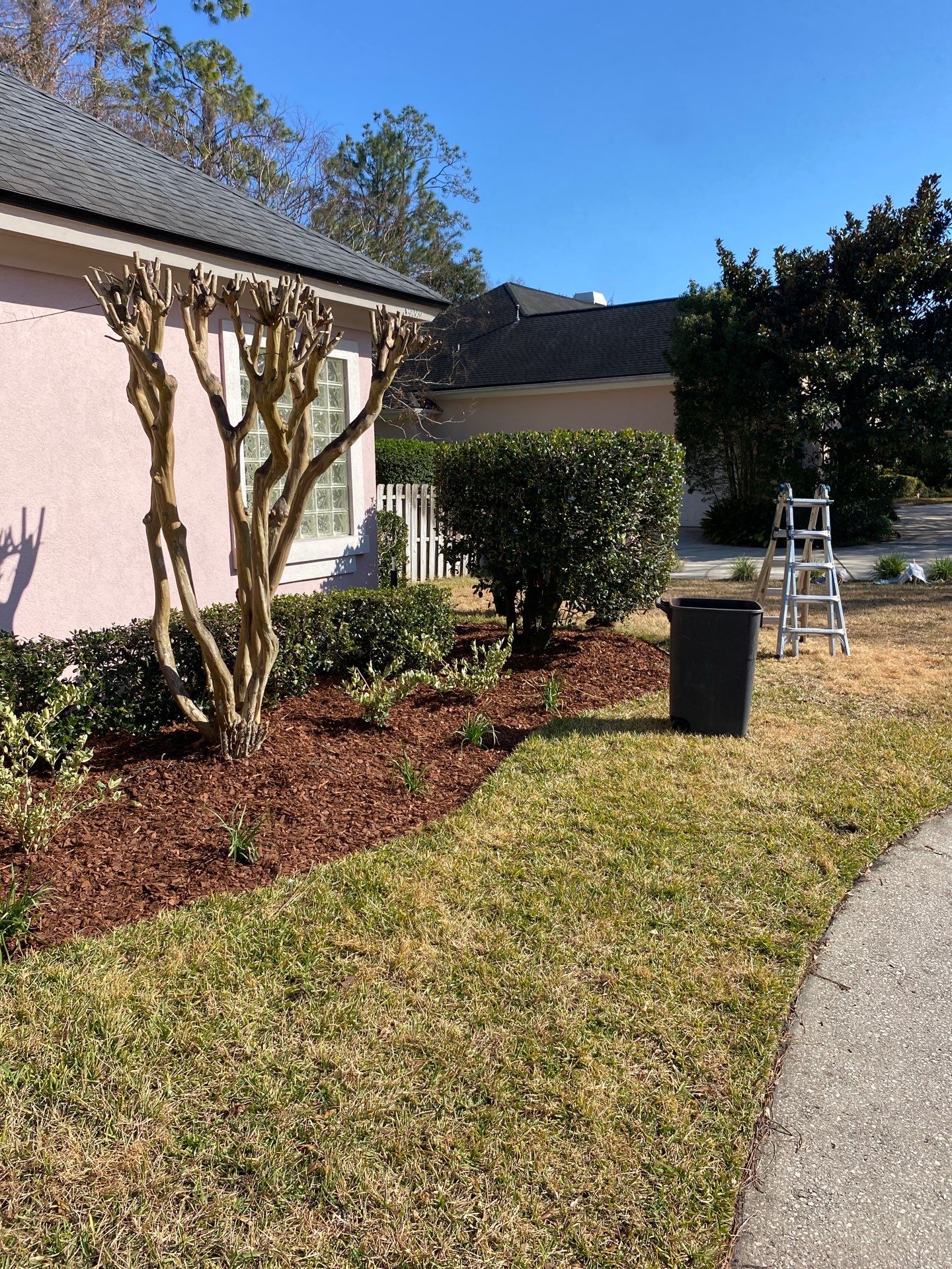 Deerwood Resident | Tree Removal & Clean-Up by ProGreen Services