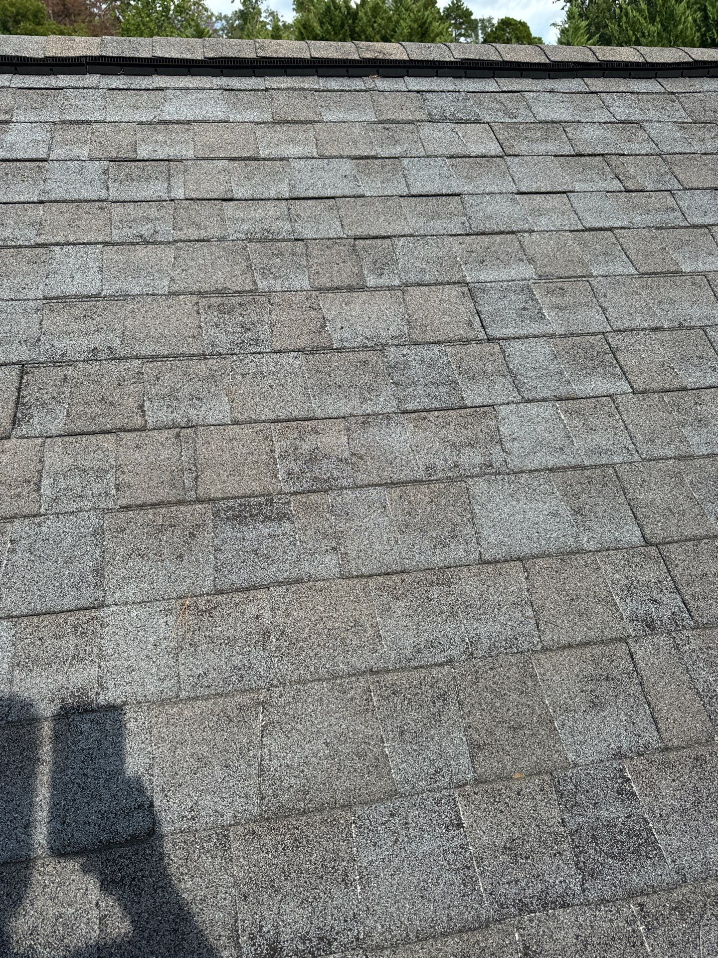 Carol Calhoun by United Contracting and Roofing