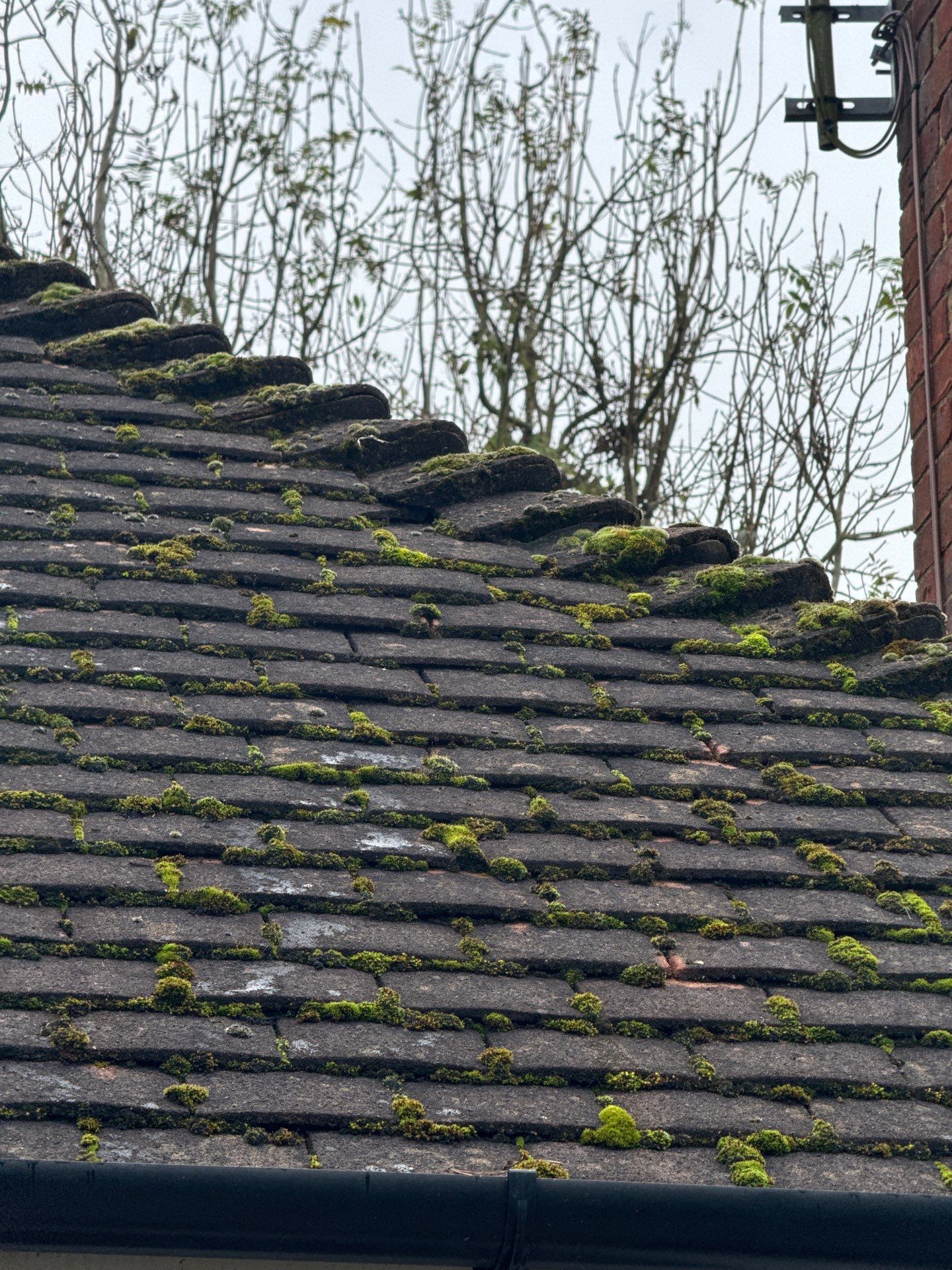 Roof Clean  - Moss Removal - Gutter Clean using Softwash Equipment by Ges Exterior Cleaning ltd
