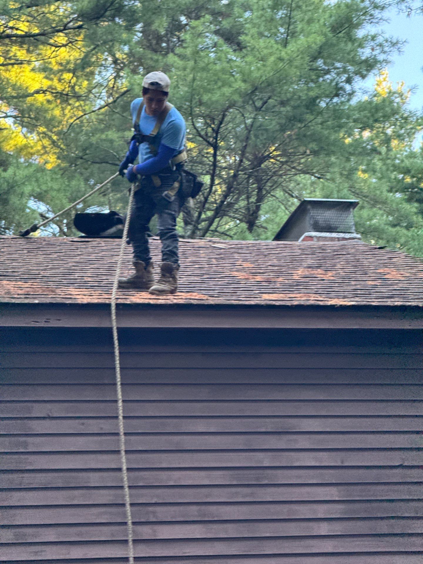 Roof Replacement – Rosalie Brown, MA by Mighty Dog Roofing of Greater Middlesex County
