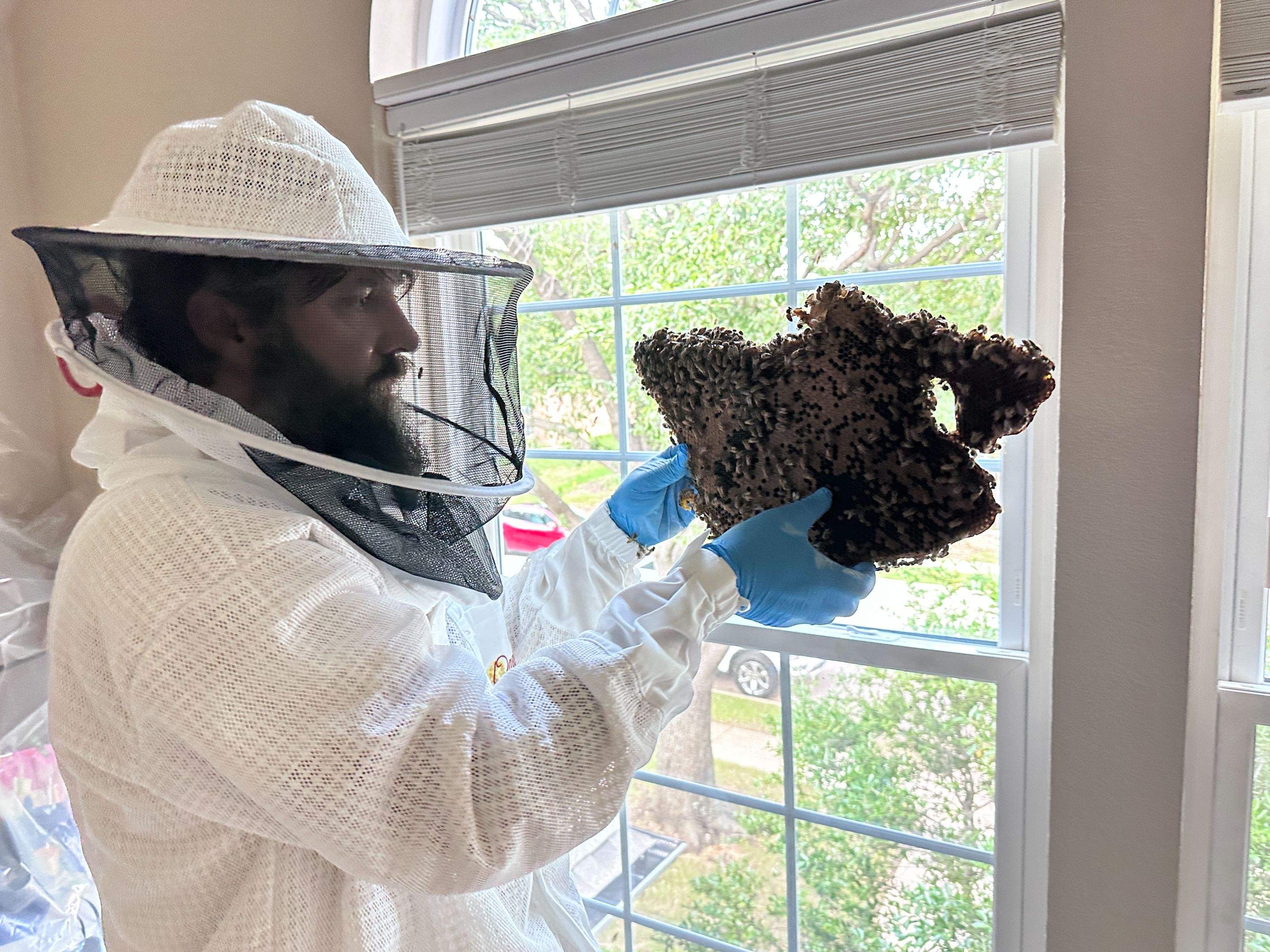 Inside Job by Rockwall Honey Bee Company