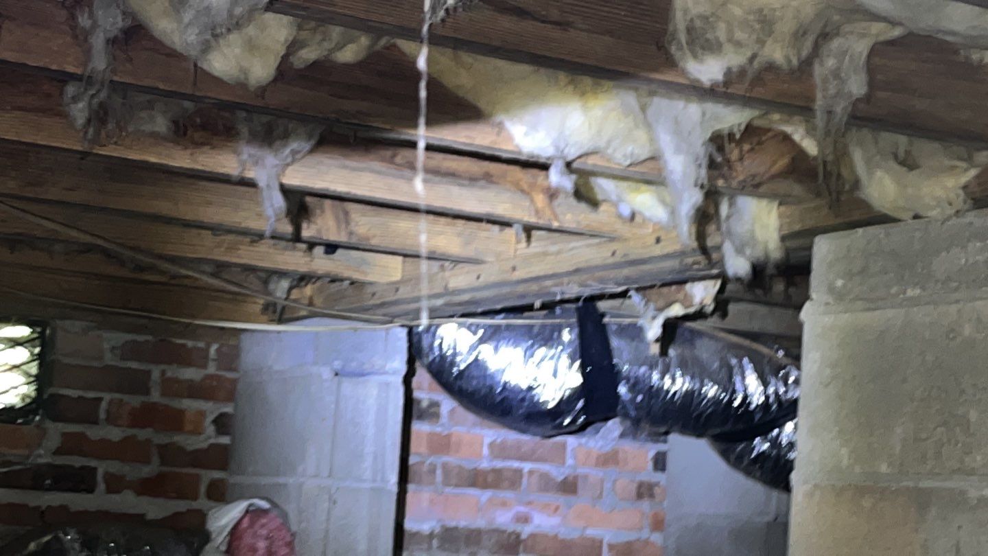 Impact Choice Encapsulation using YCS Pro Cleaner by Impact Crawlspace