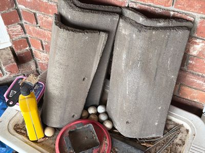 Project in Castle Rock 