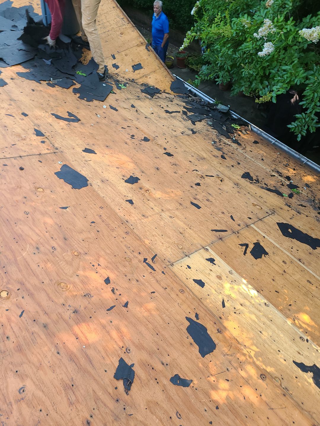 Arlington: Roof Replacement with CertainTeed Landmark Pro in Max Def Georgetown Gray by RM Banning, Inc.