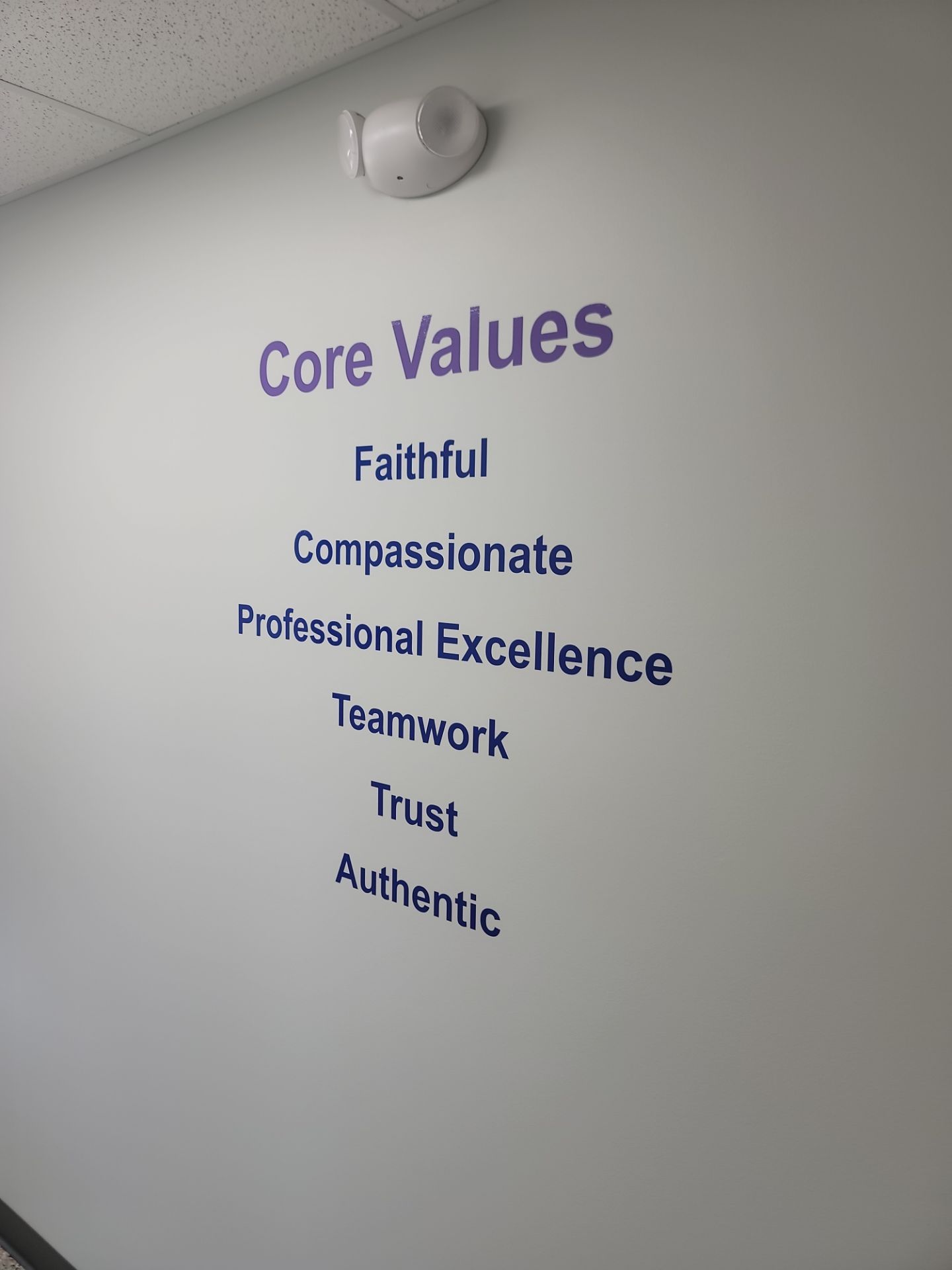 Custom Monument Signage and Interior Branding in Edwardsburg by Hayes Design co