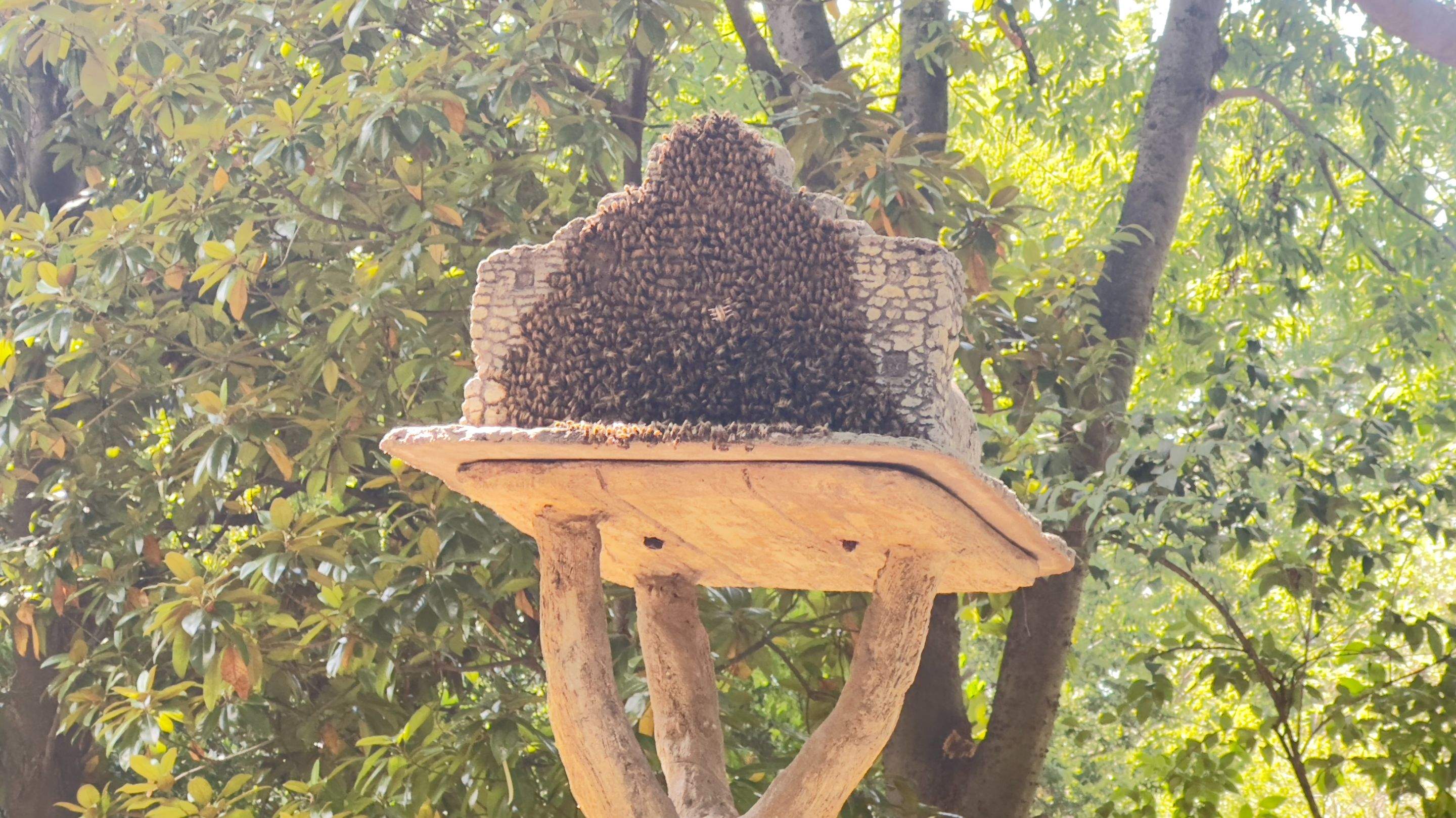 Bird Houses by Rockwall Honey Bee Company