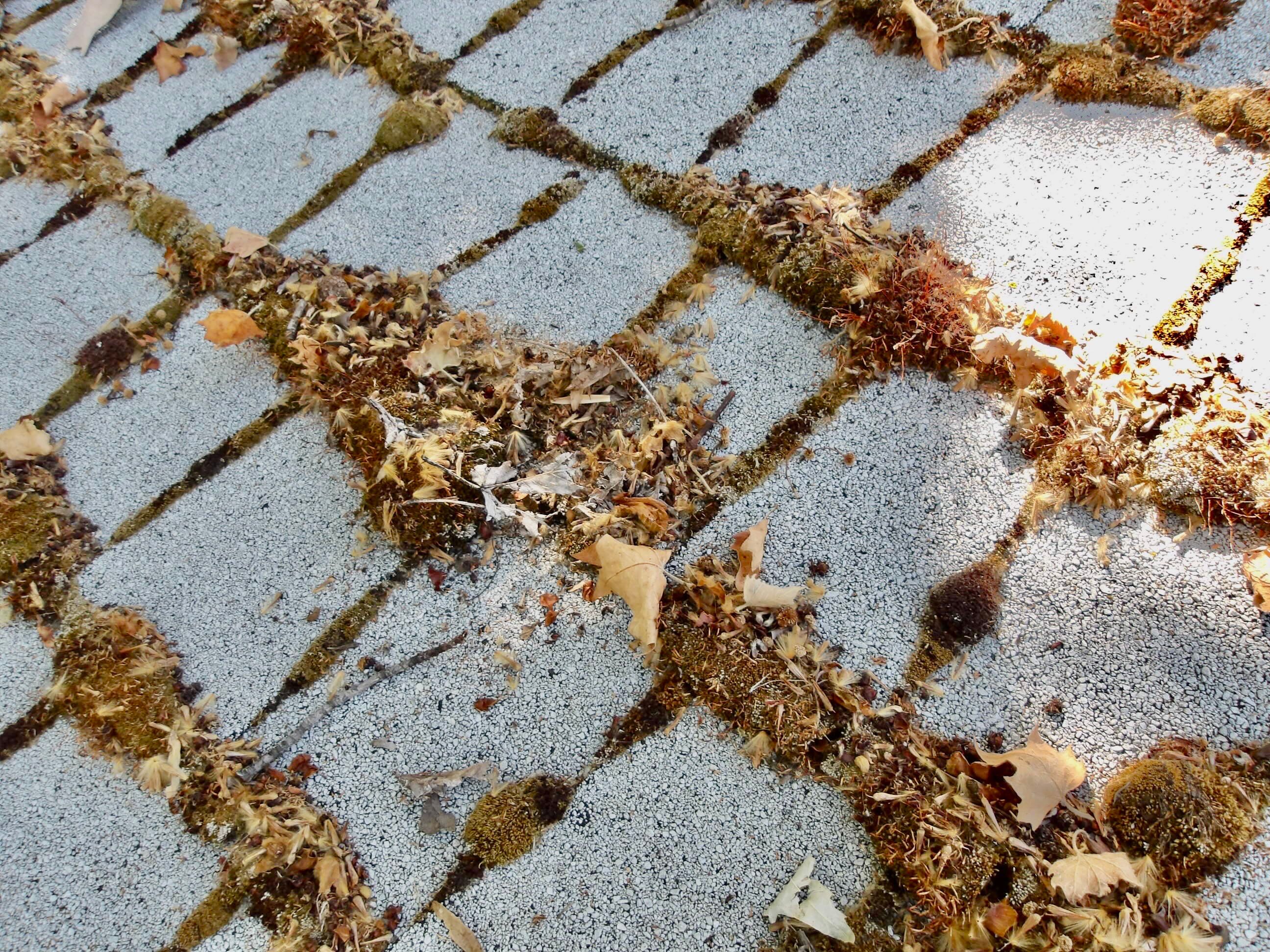 Roof Restore using Pressure Washer by Byers Enterprises 