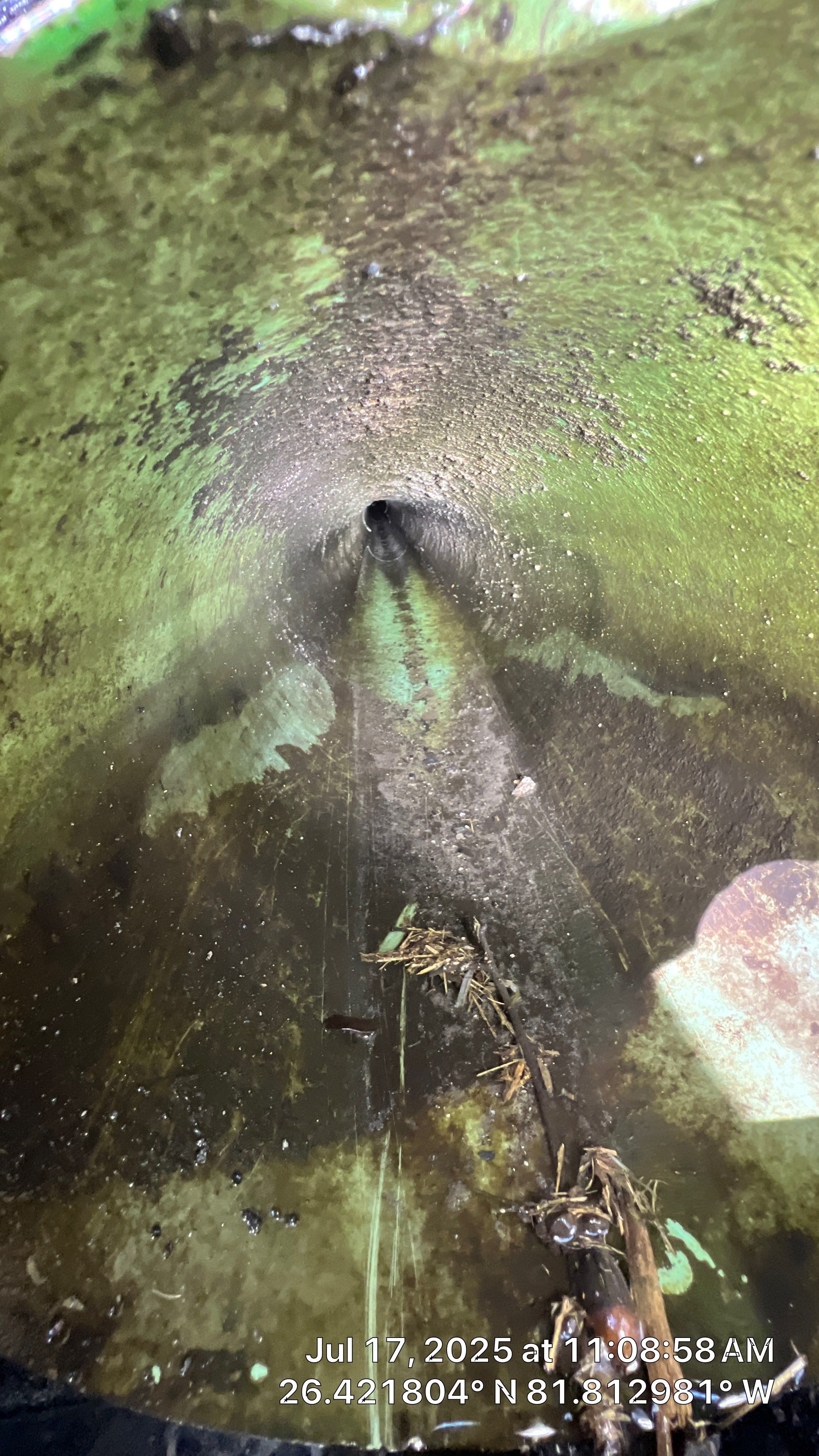 Catch Basin Cleaning with 1 Tom Plumber in Estero by APS Power & Water