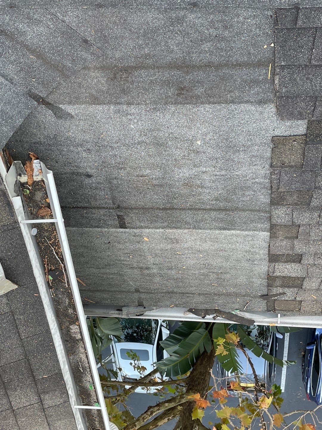 Residential Roofing Repair using Asphalt Shingles by RoofSmith of Tampa Bay