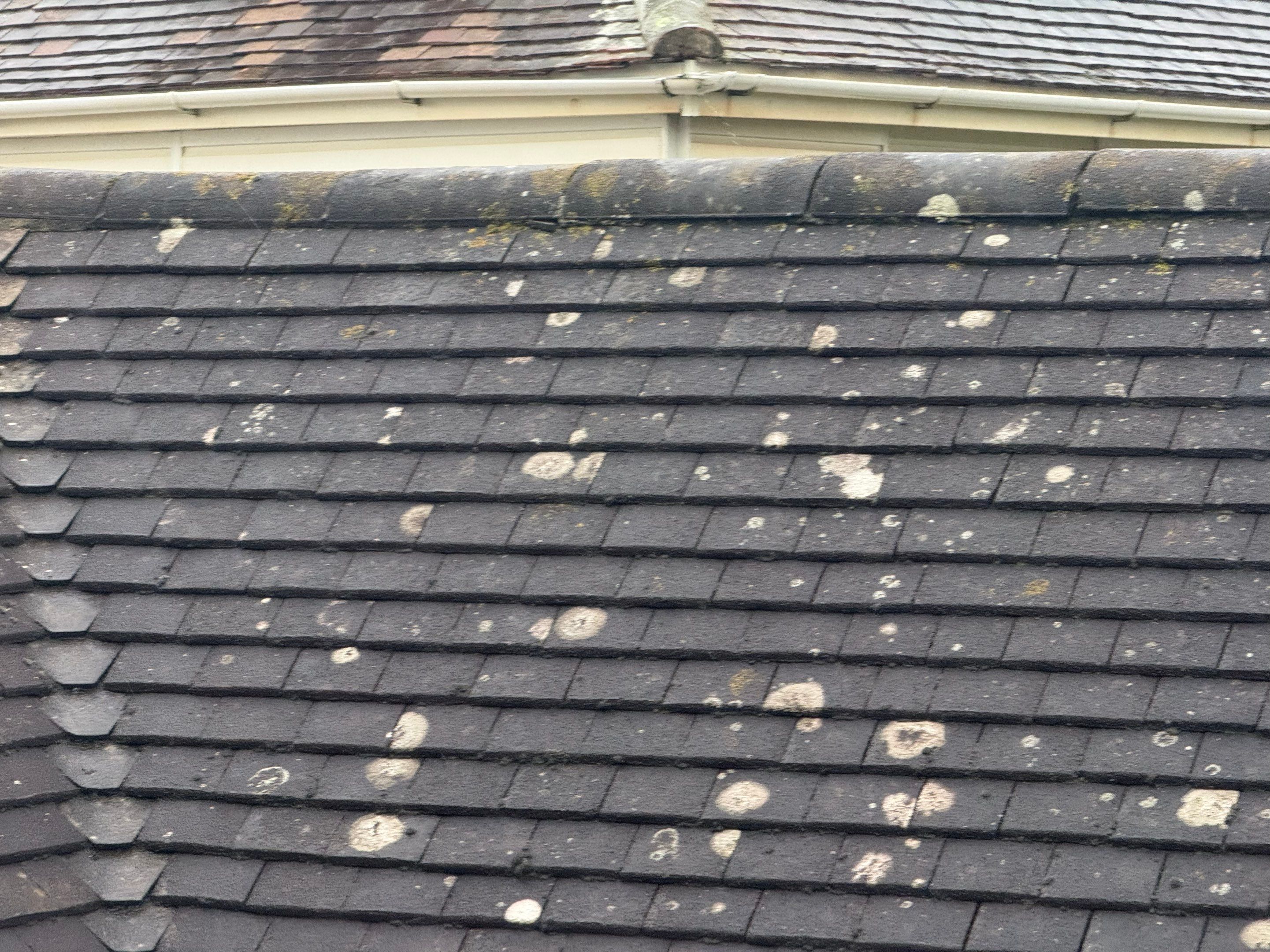 Roof and Patio Clean Bognor Regis by Ges Exterior Cleaning ltd