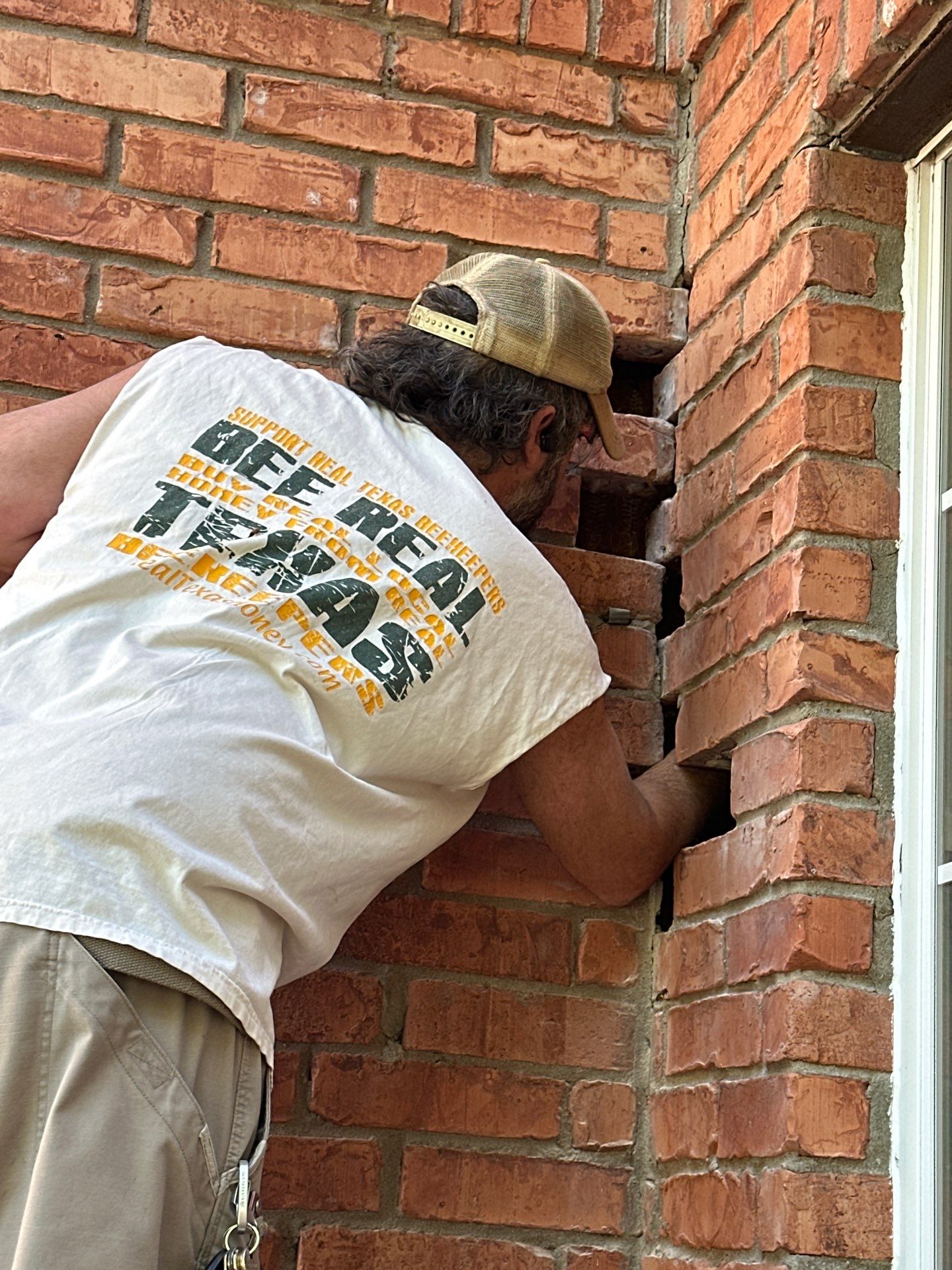 Bees Behind Bricks by Rockwall Honey Bee Company