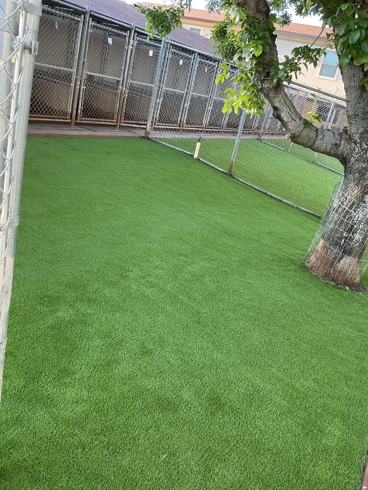 Synthetic Turf Installation using Pet Turf by Turf Concepts