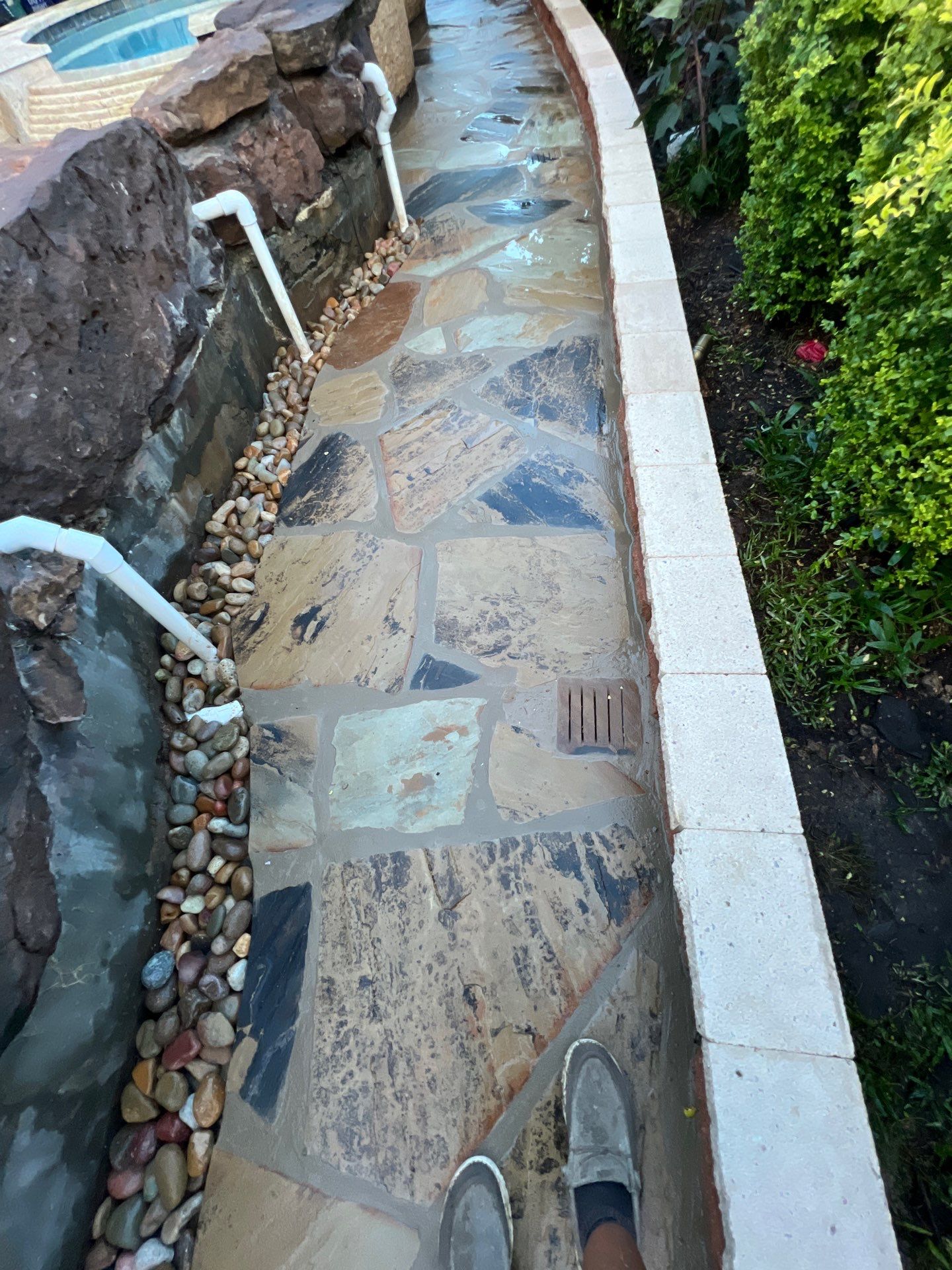 🌿 Pamela’s Backyard Makeover by Texas Urban Elements