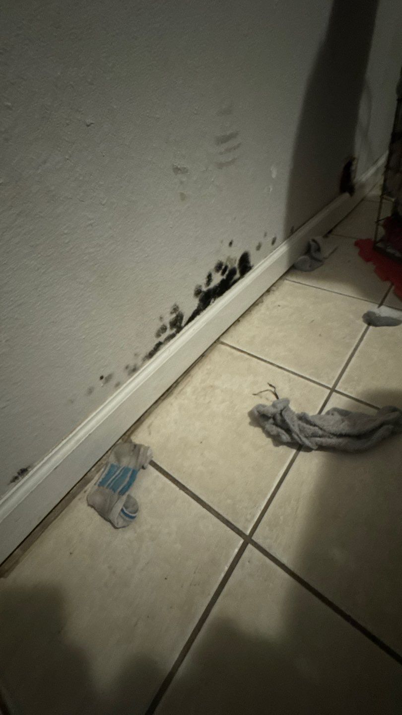 Mold Damage Project in Denver by Accountable Home Services